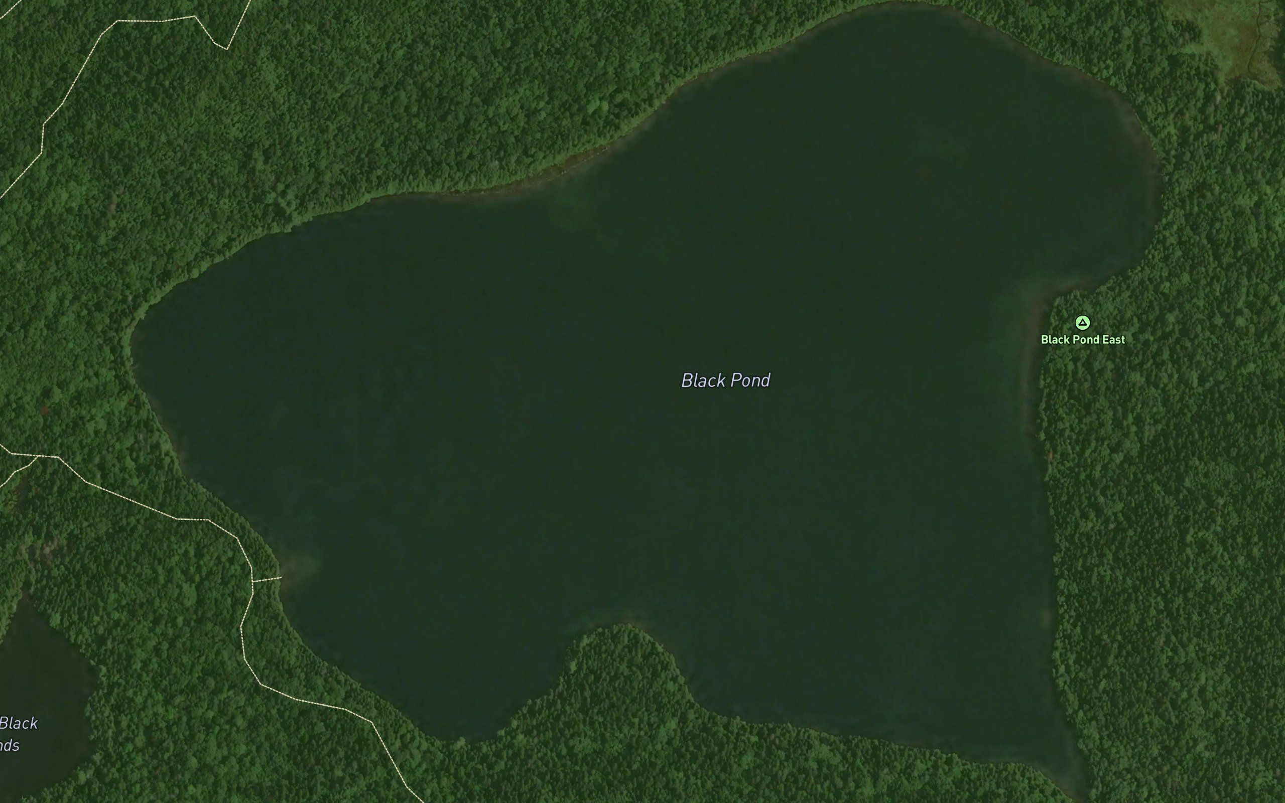 Black Pond