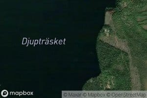 Djuptrasket