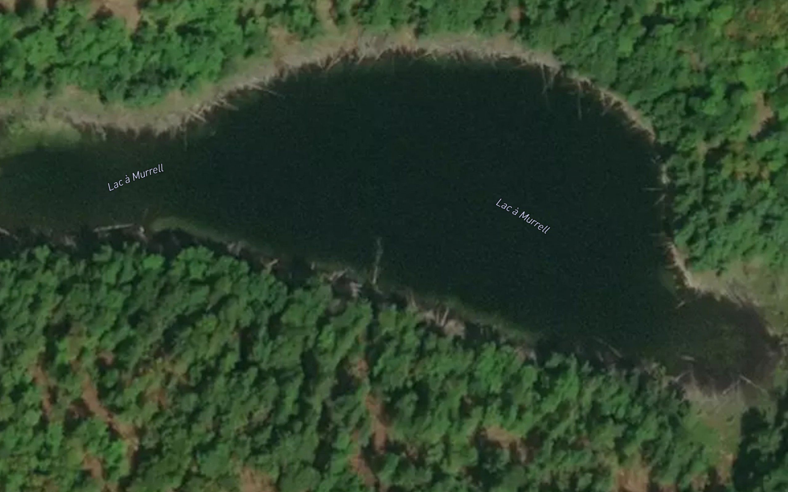 Lac a Murrell