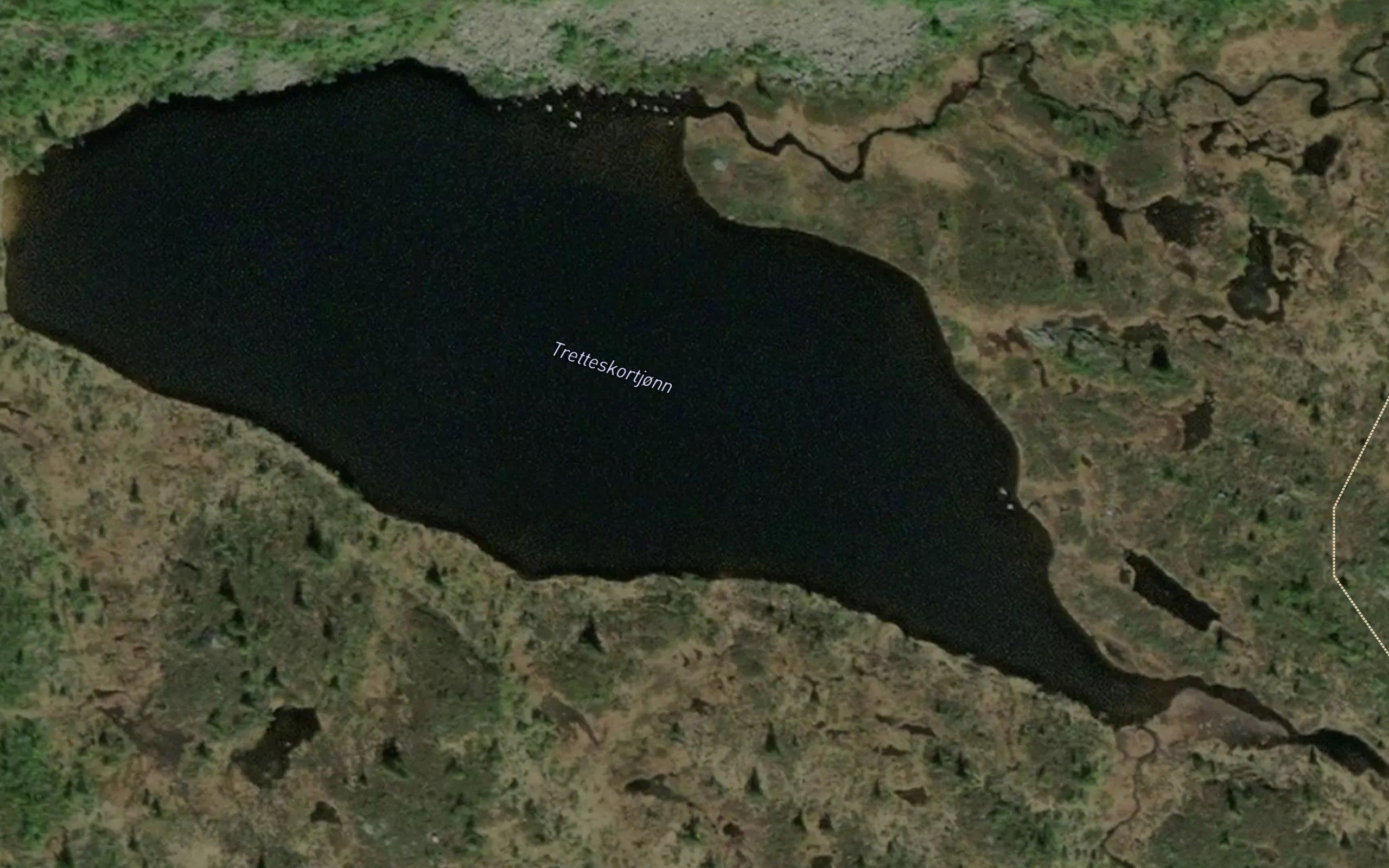 Tretteskortjorn