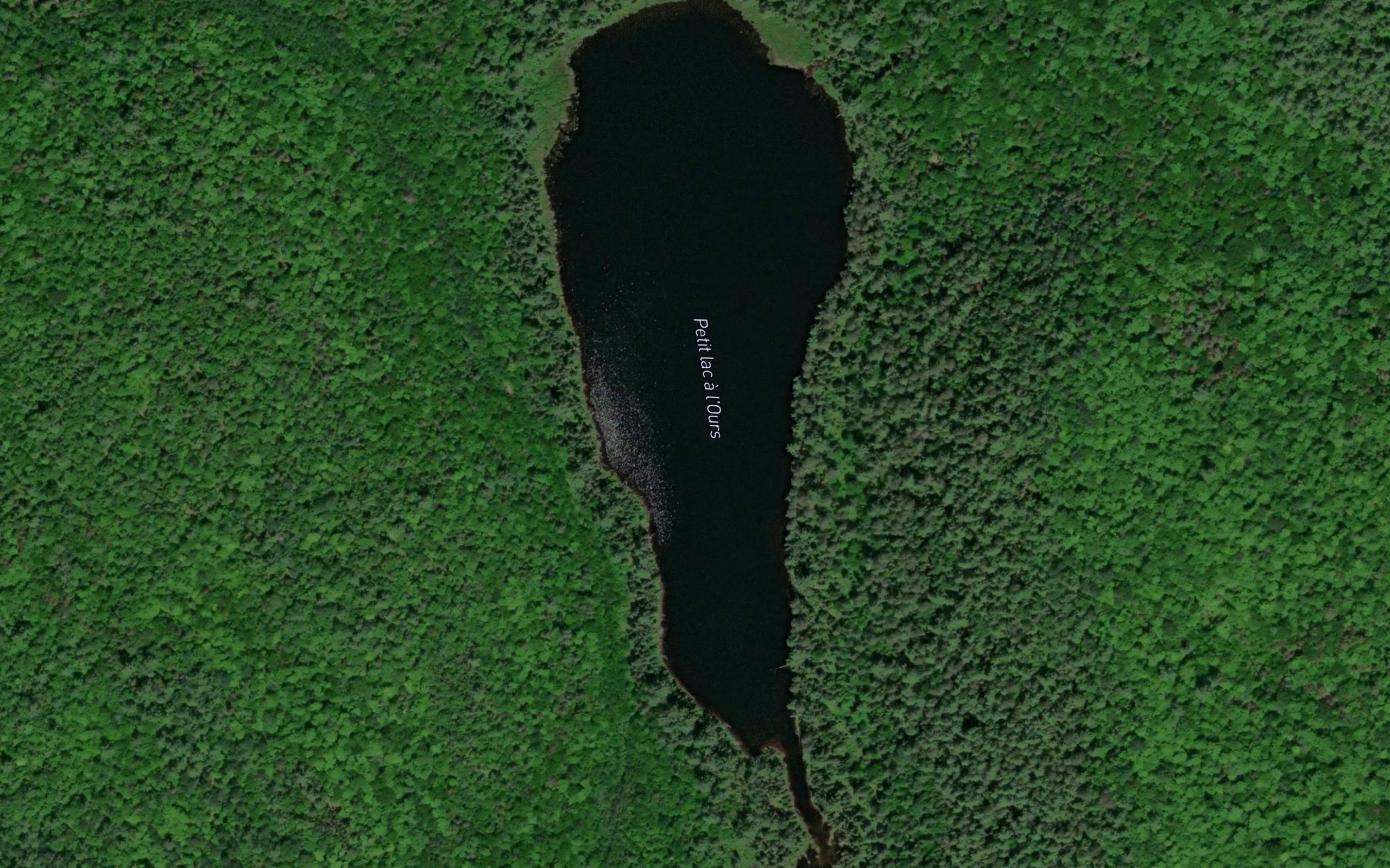 Petit lac a l'Ours