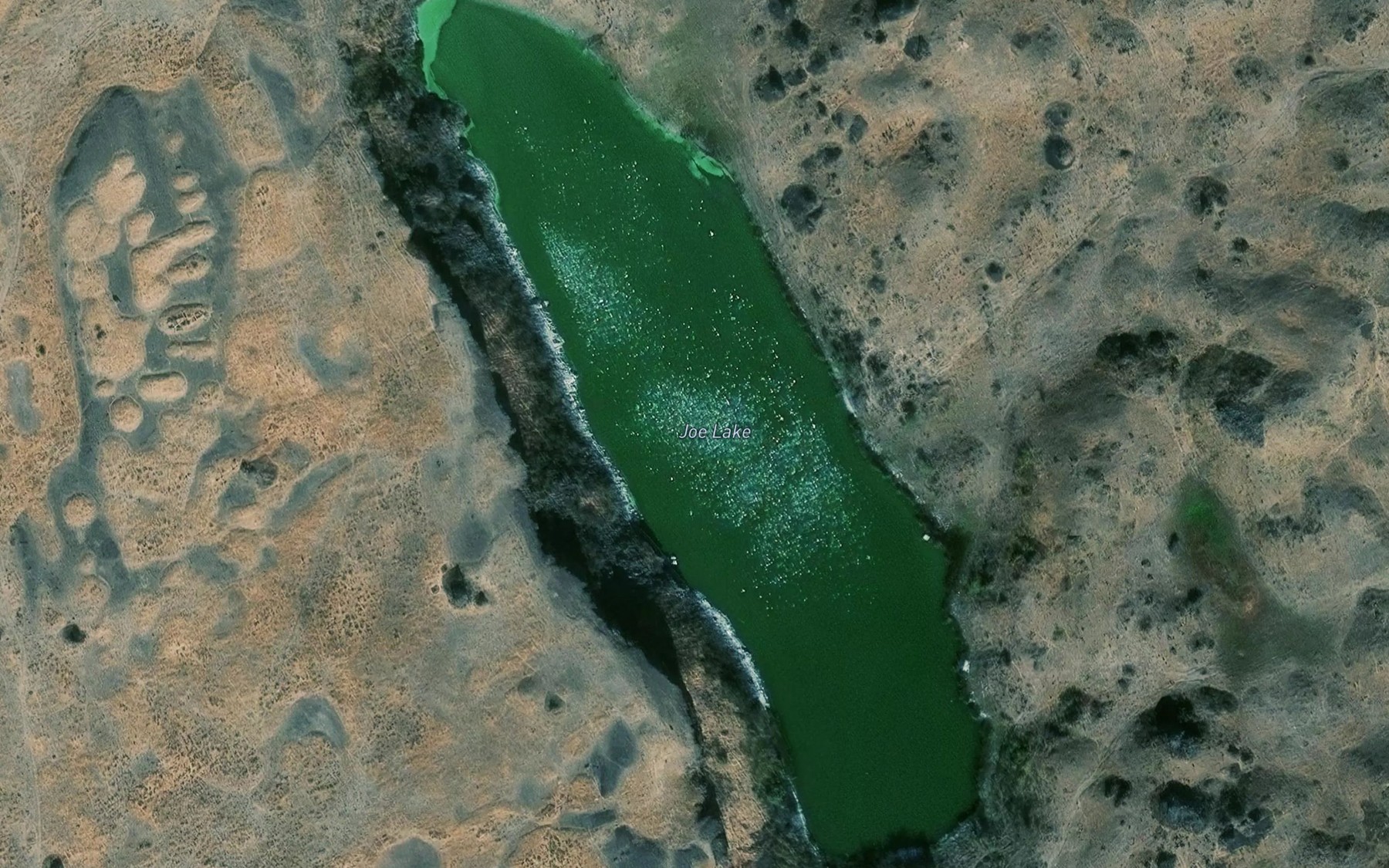 Satellite map of the Joe Lake