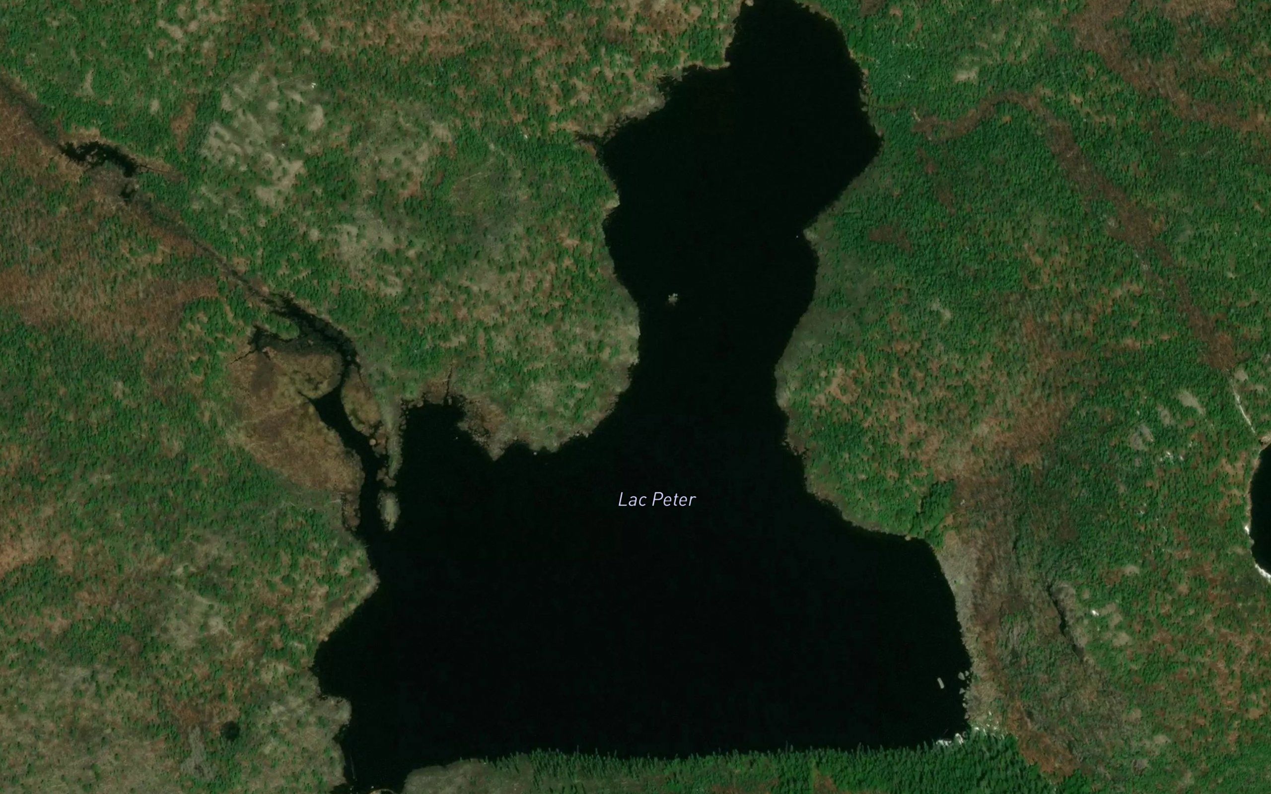 Lac Peter