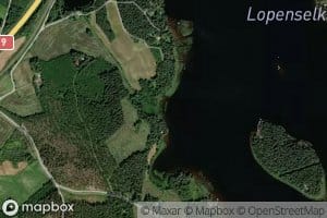 Viitapohja