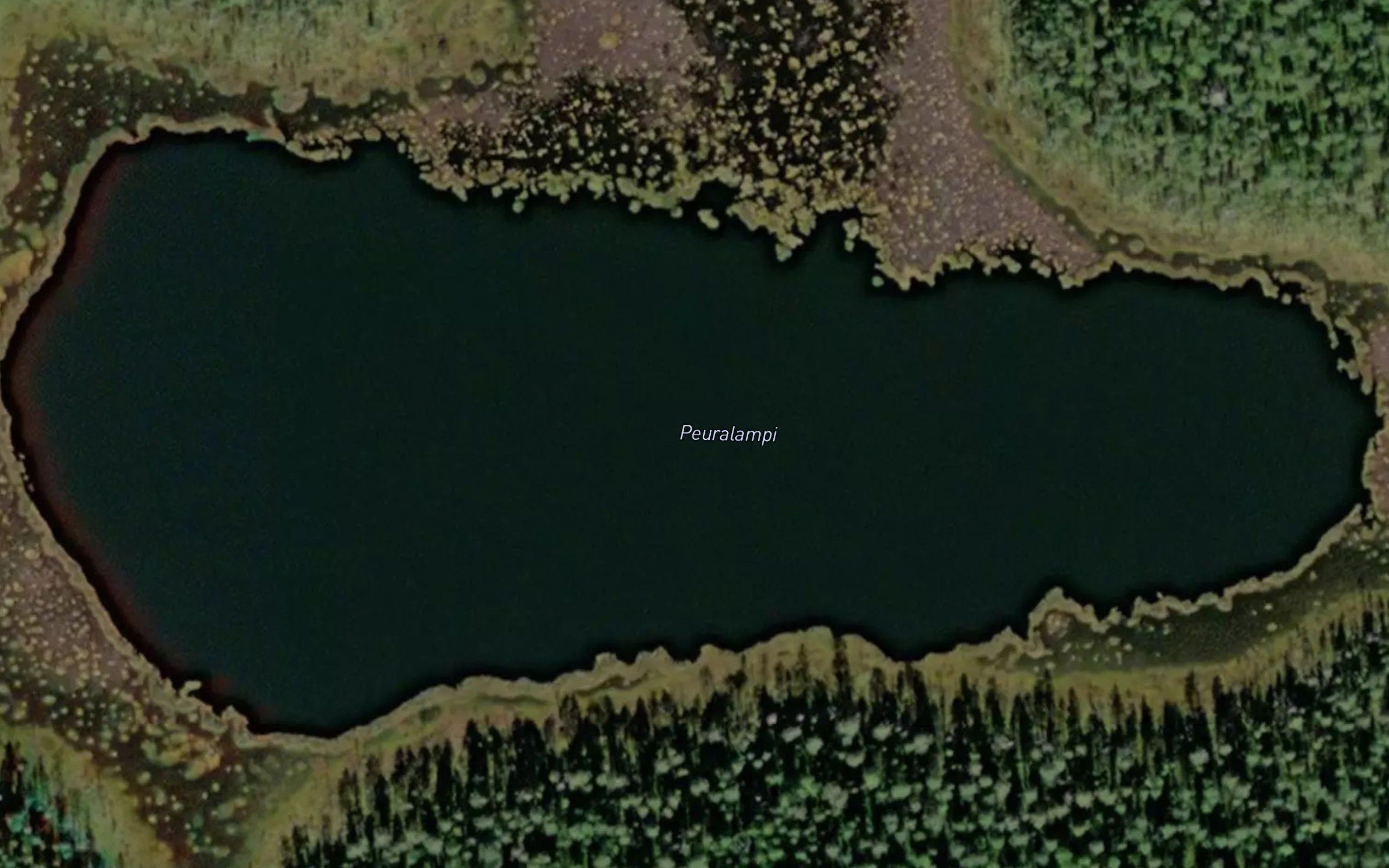 Peuralampi