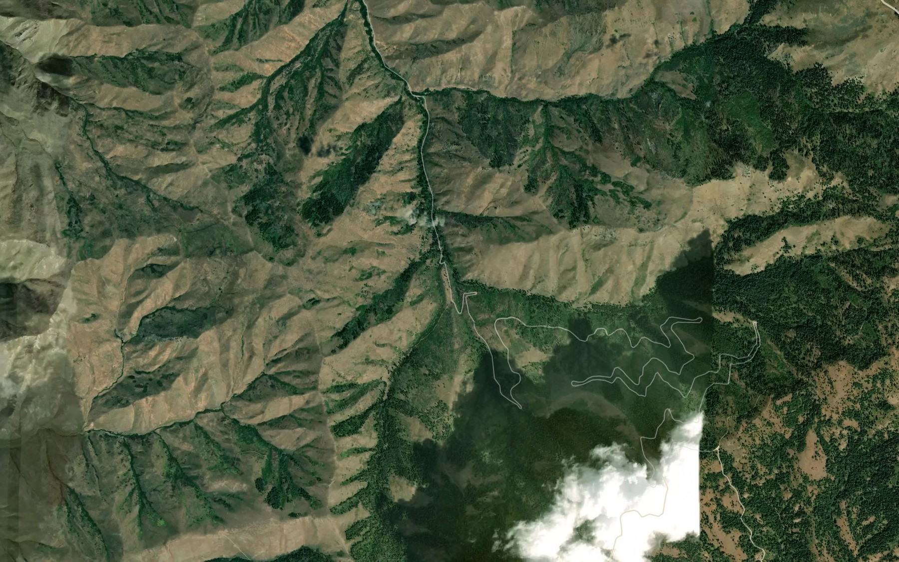 Satellite map of the East Fork Sturgill Creek