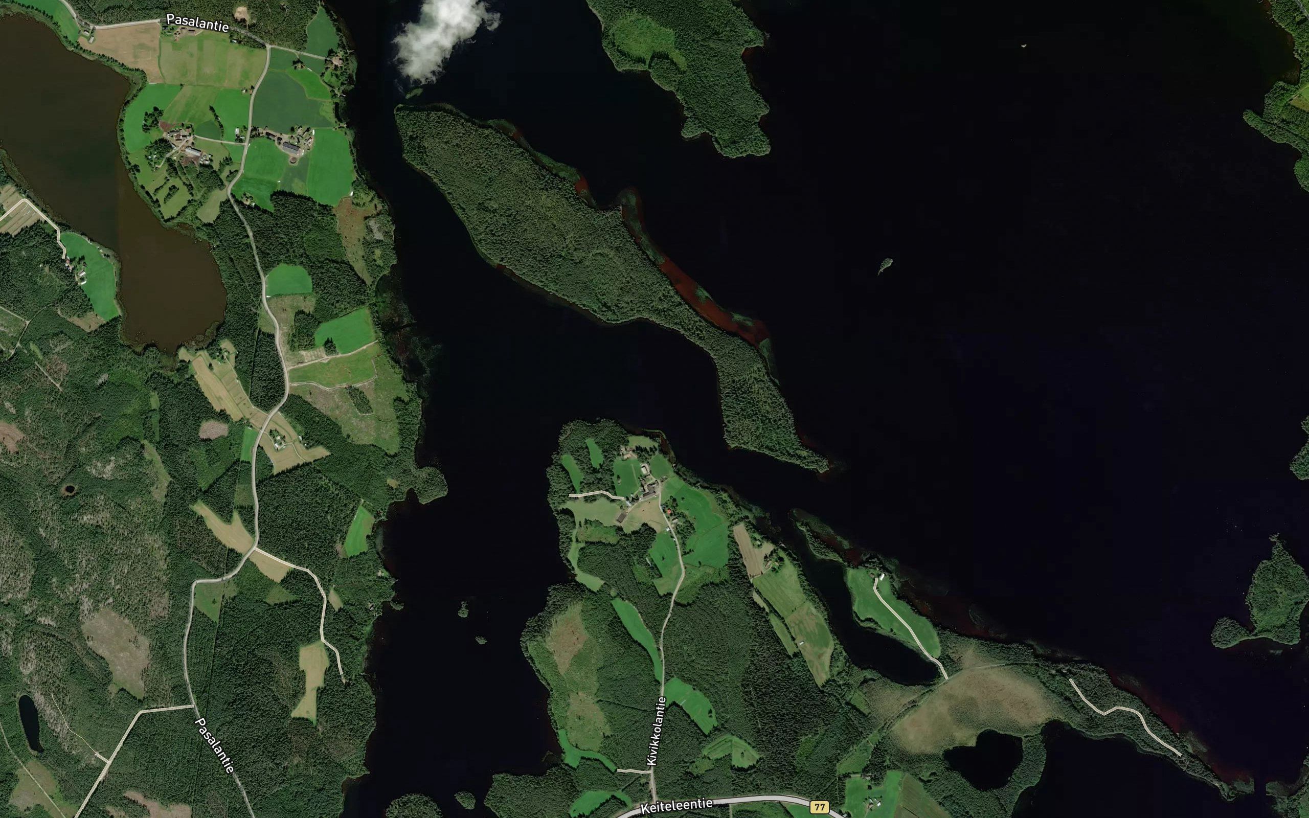 Varisluoto