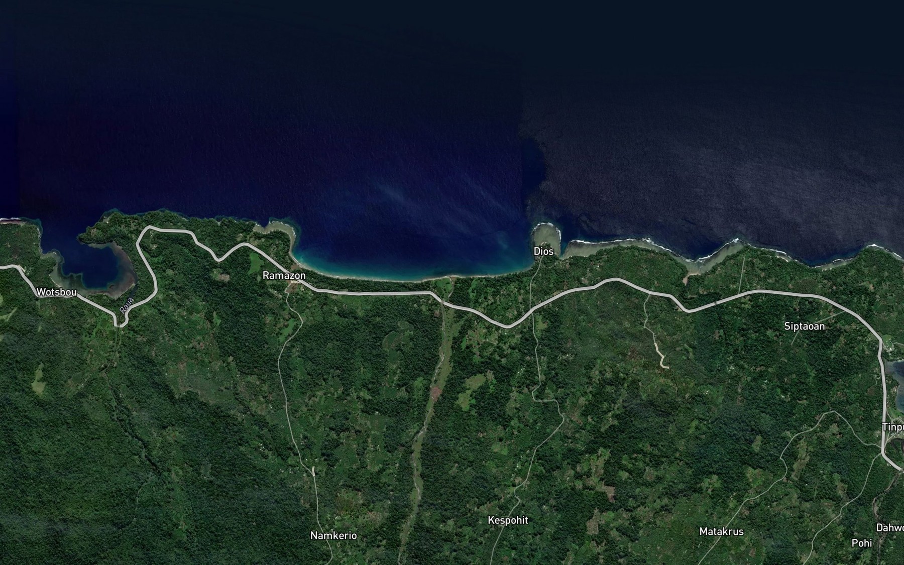 Satellite map of the Ramazon River