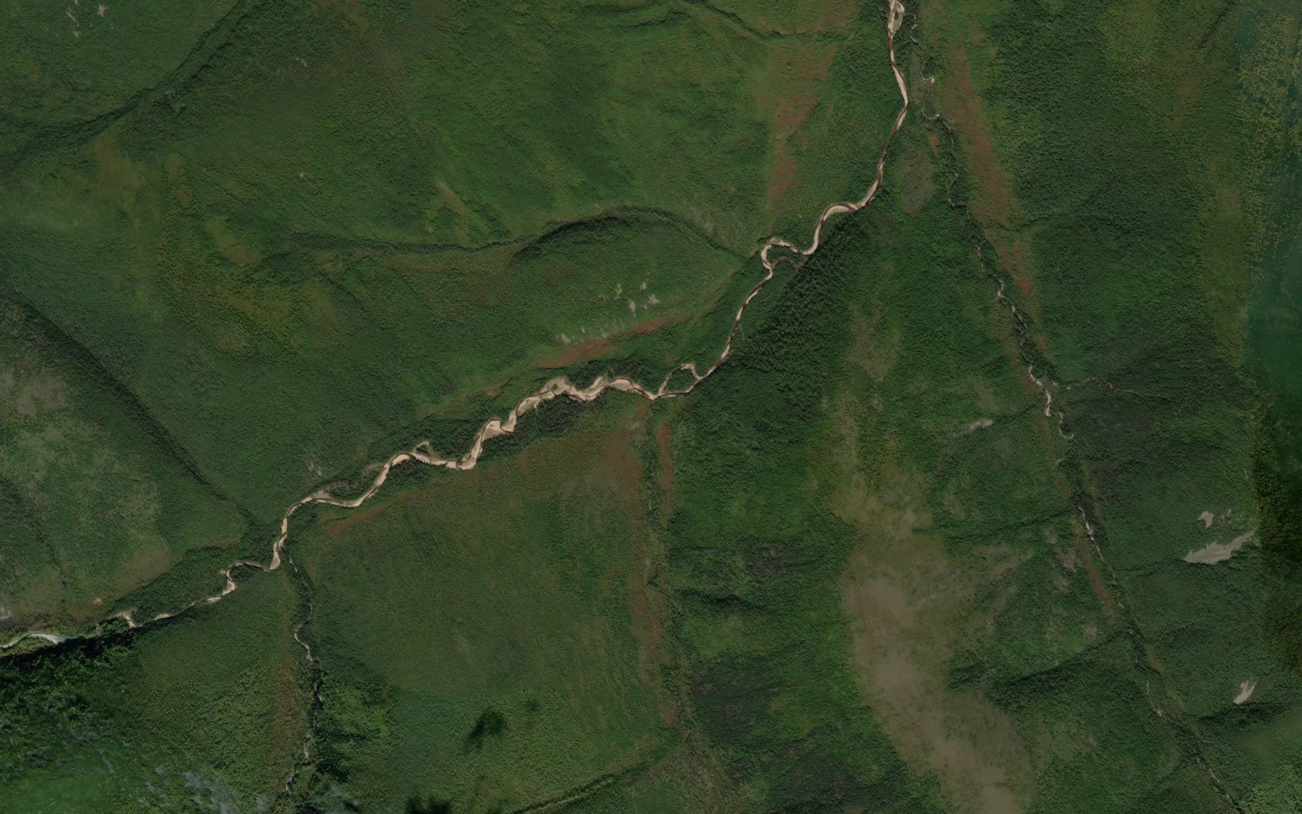 Medvezhiy