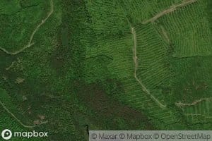 Little Tamarack Brook