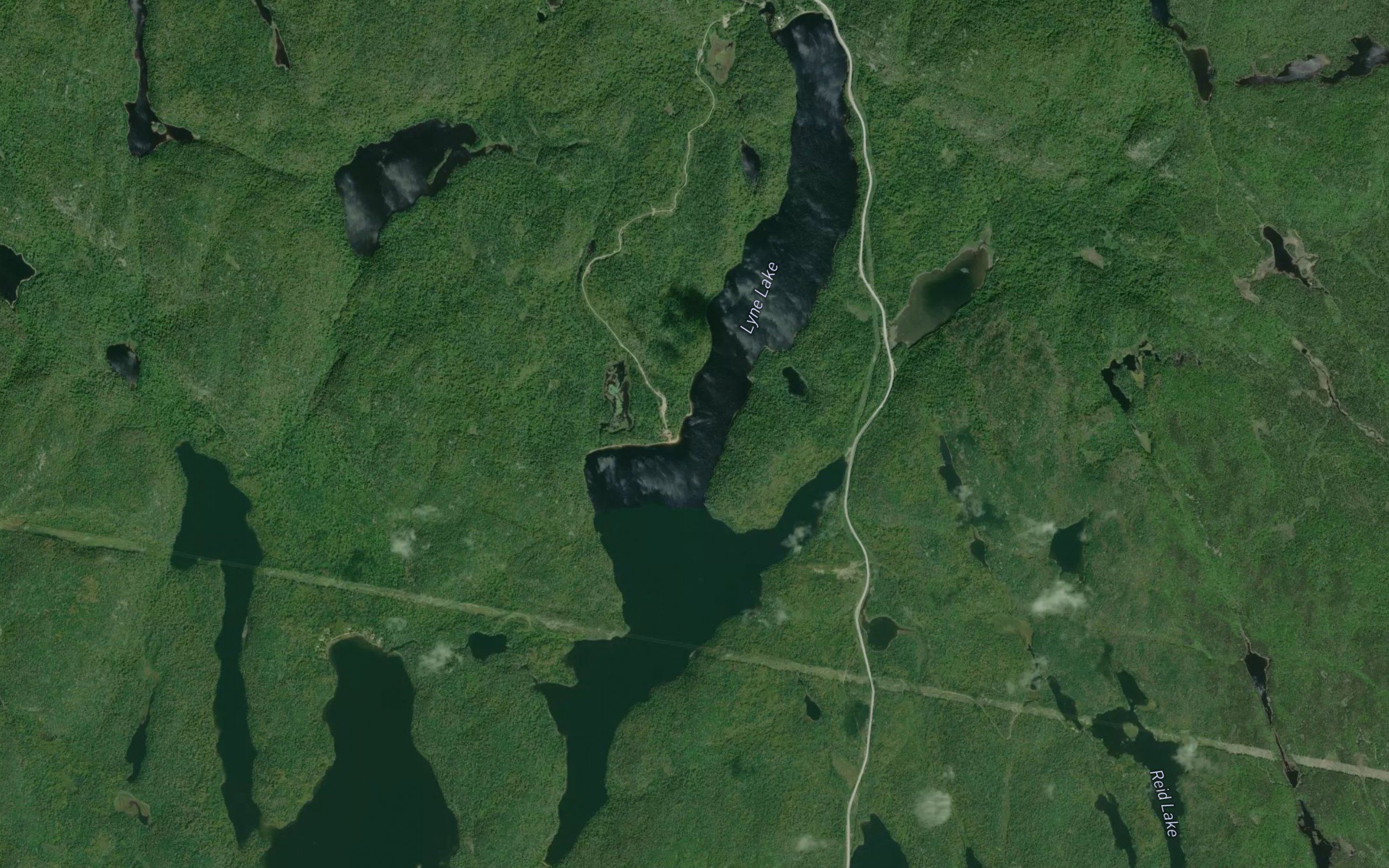Lyne Lake