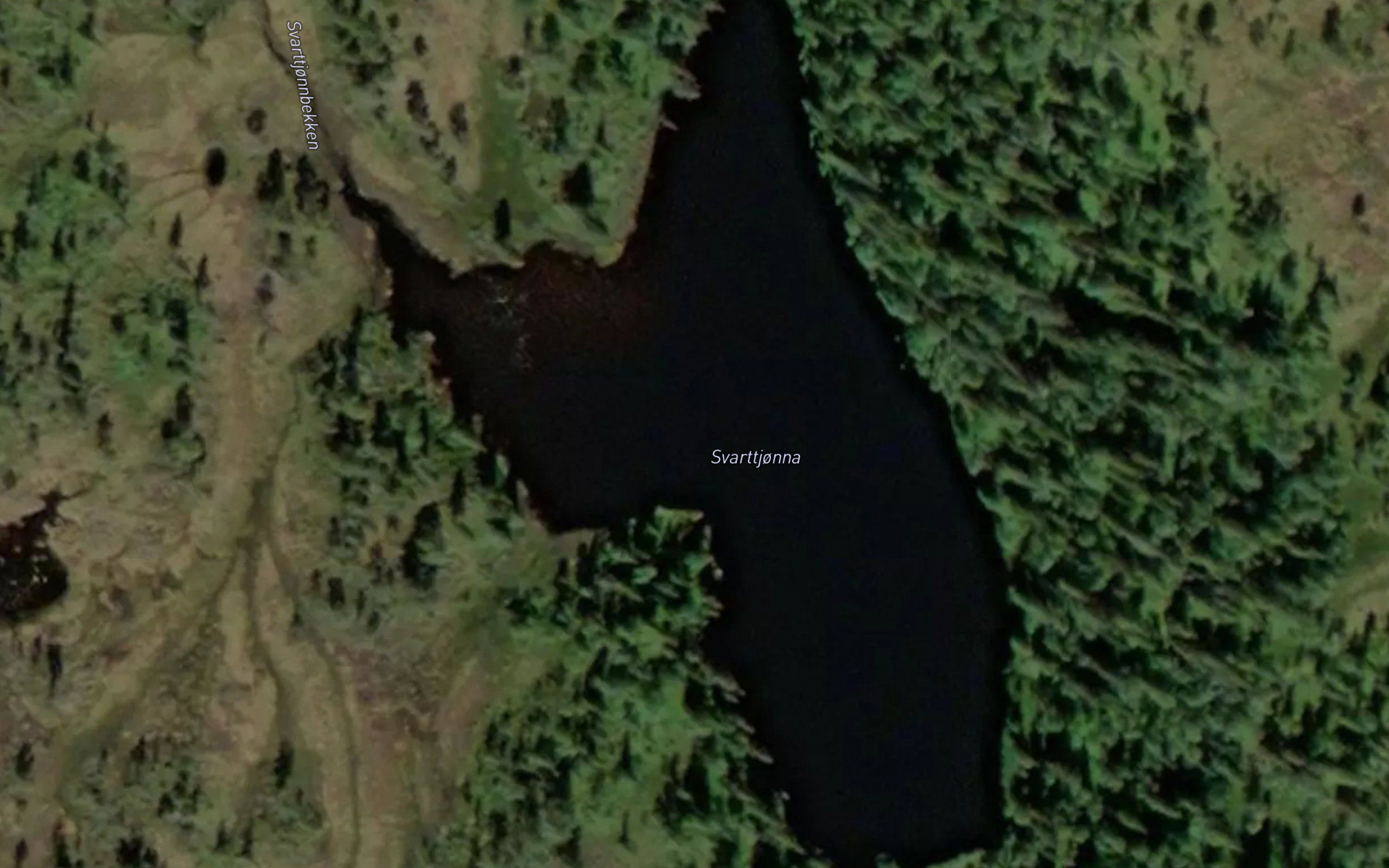 Svarttjonna