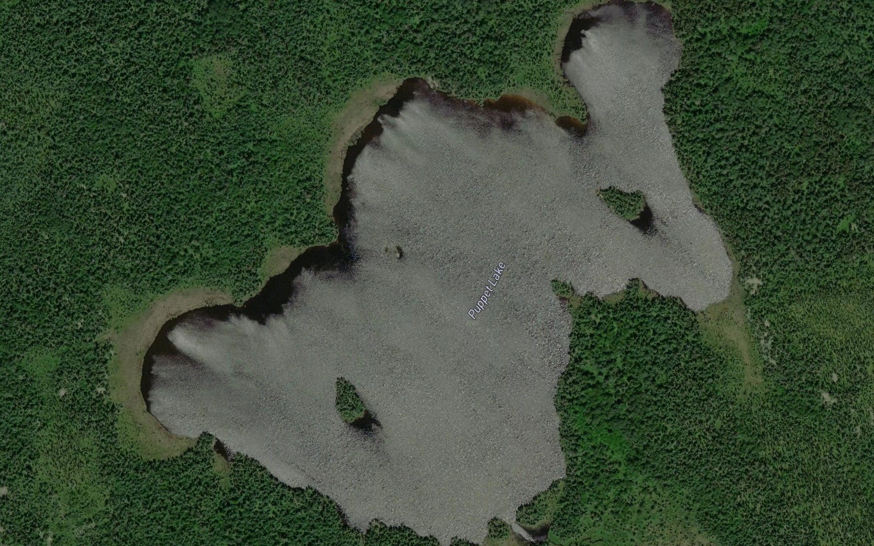Satellite map of the Puppet Lake