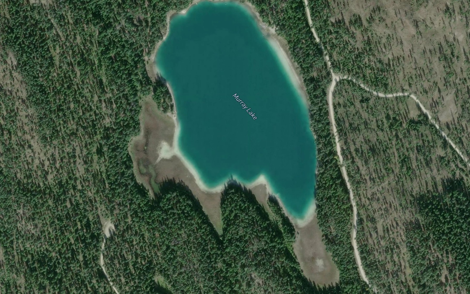 Satellite map of the Murray Lake
