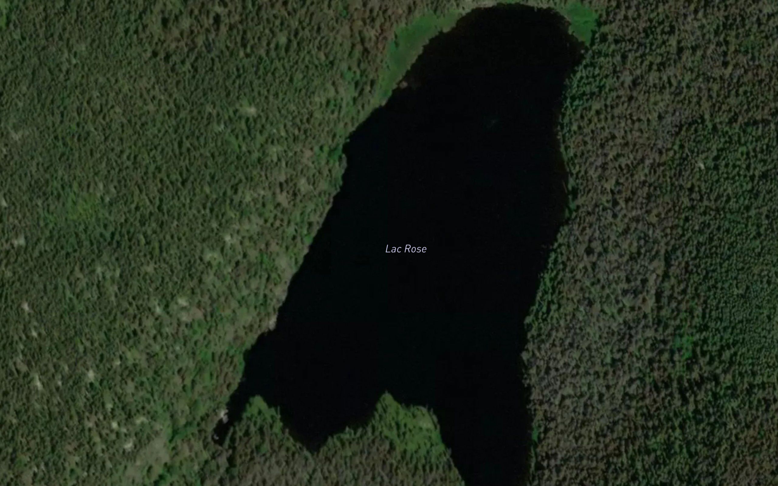 Lac Rose