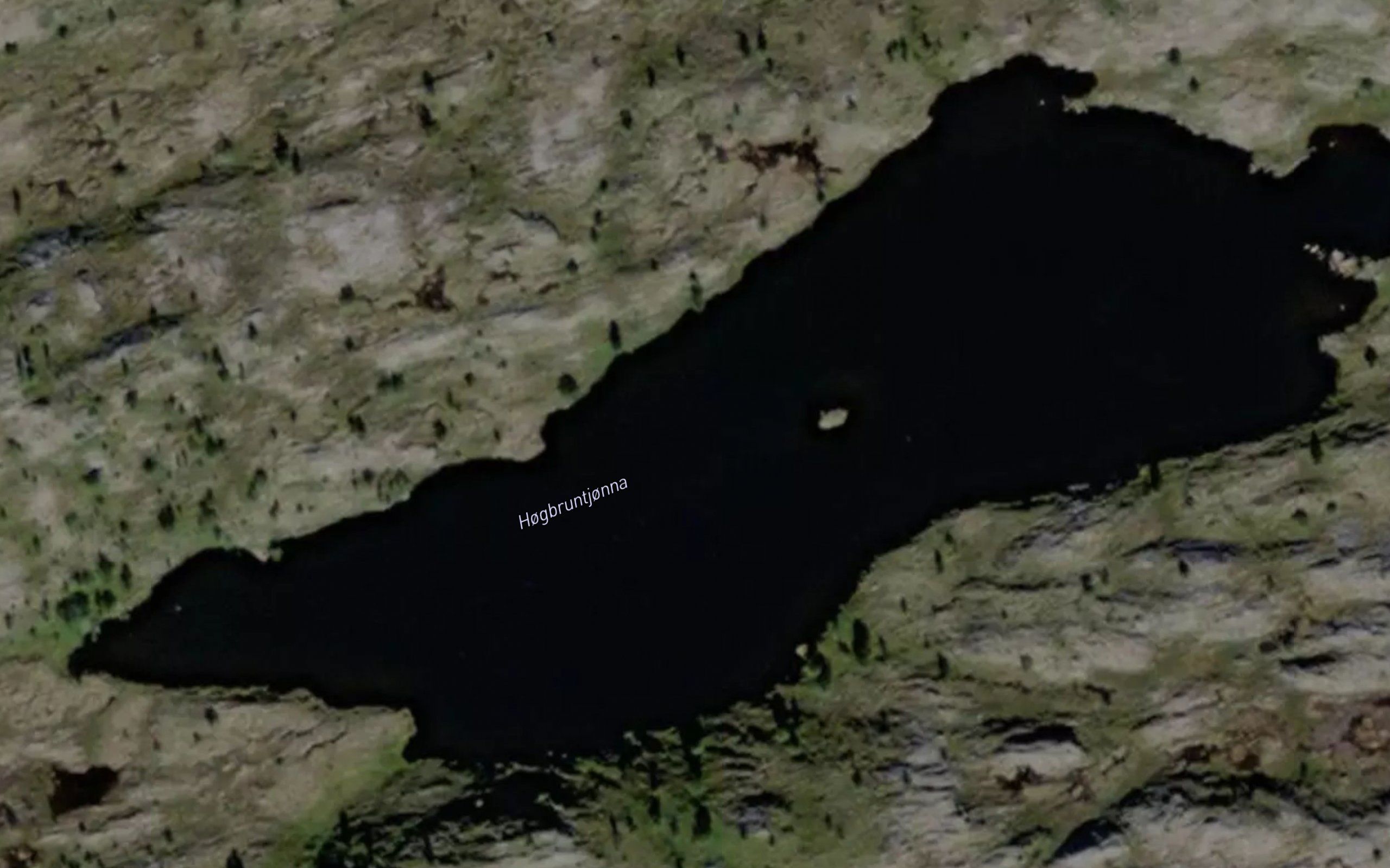 Hogbruntjorna