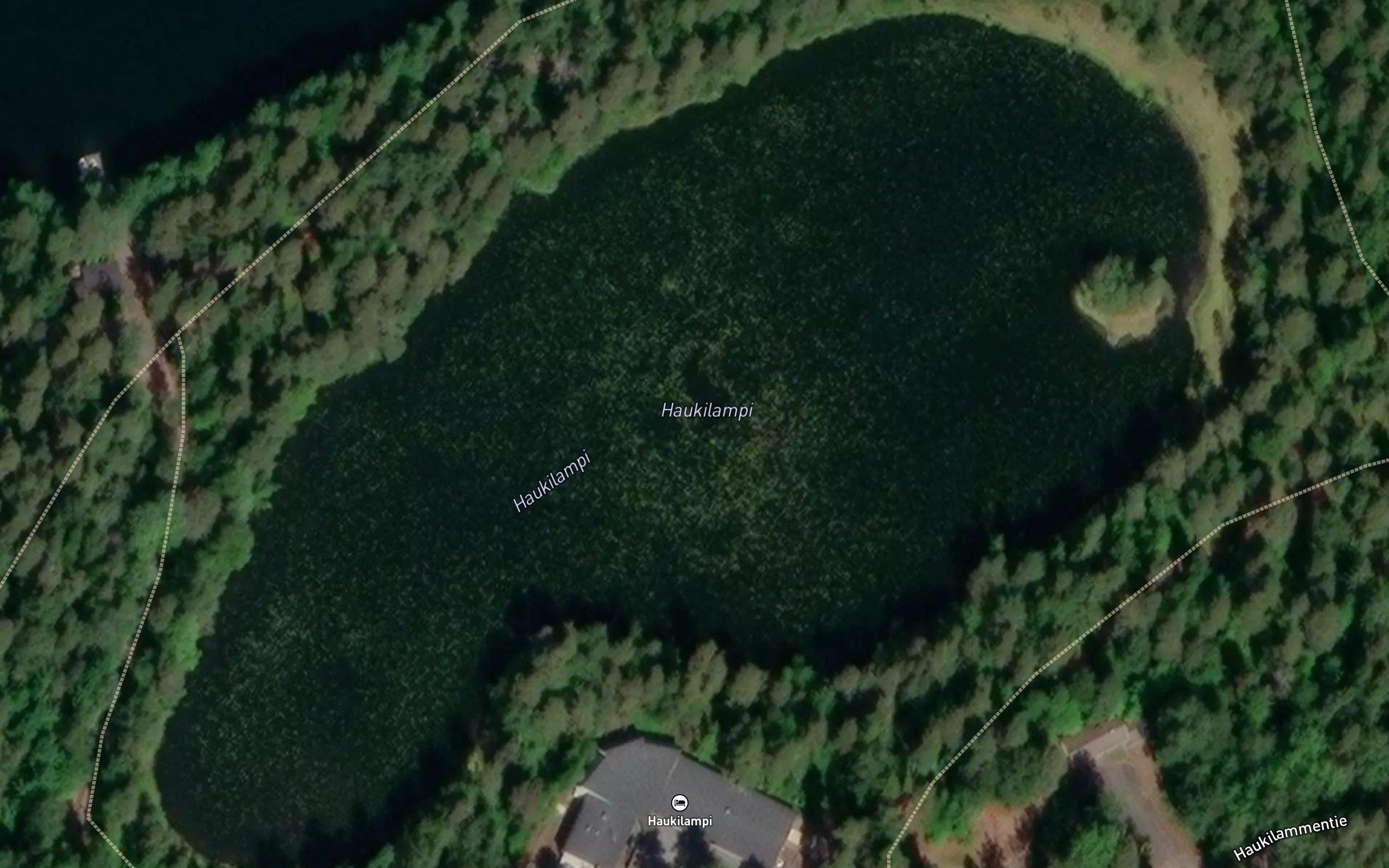 Haukilampi