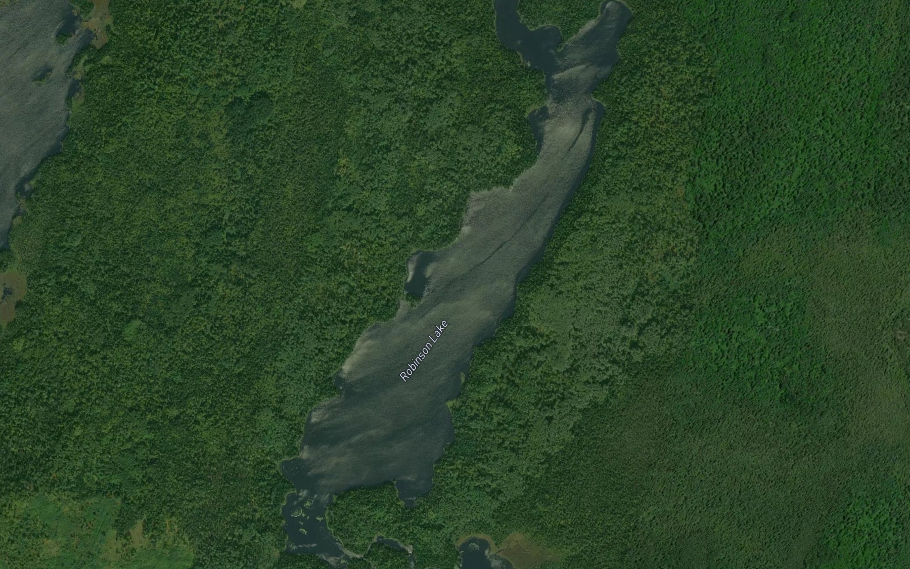 Satellite map of the Robinson Lake