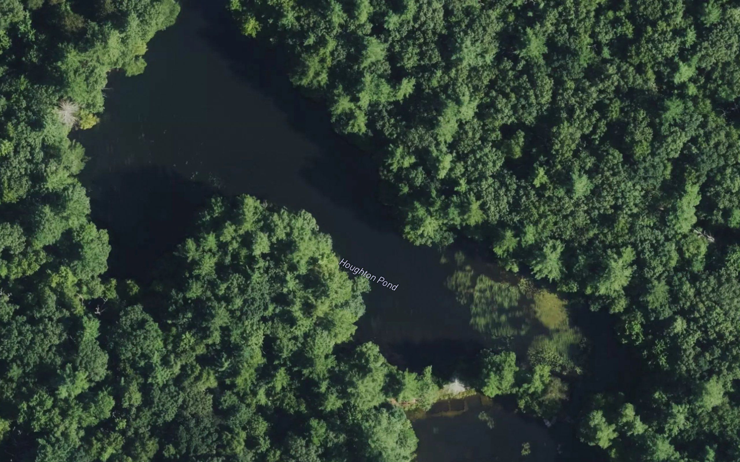 Houghton Pond