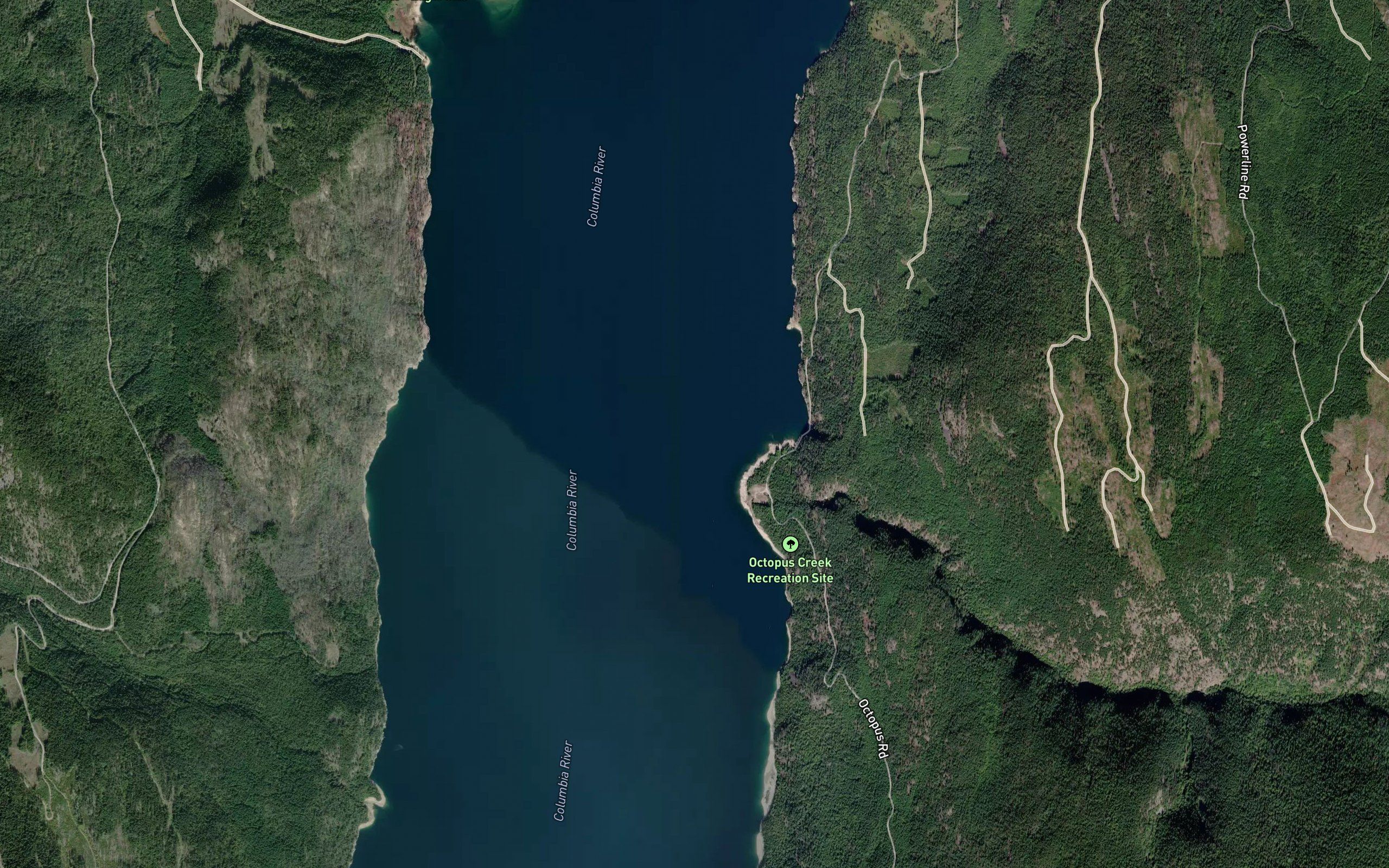 Octopus Creek