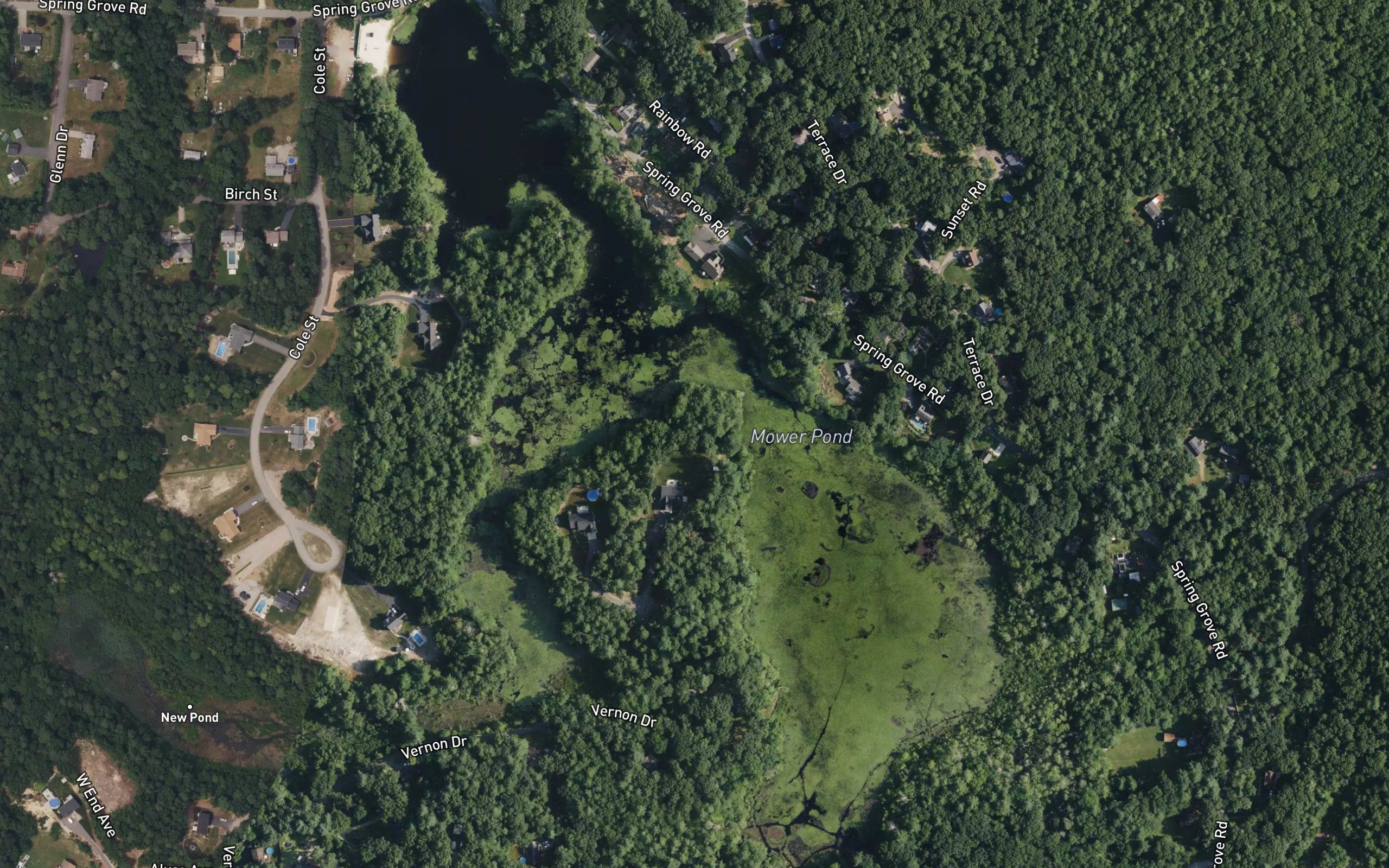Spring Grove Pond