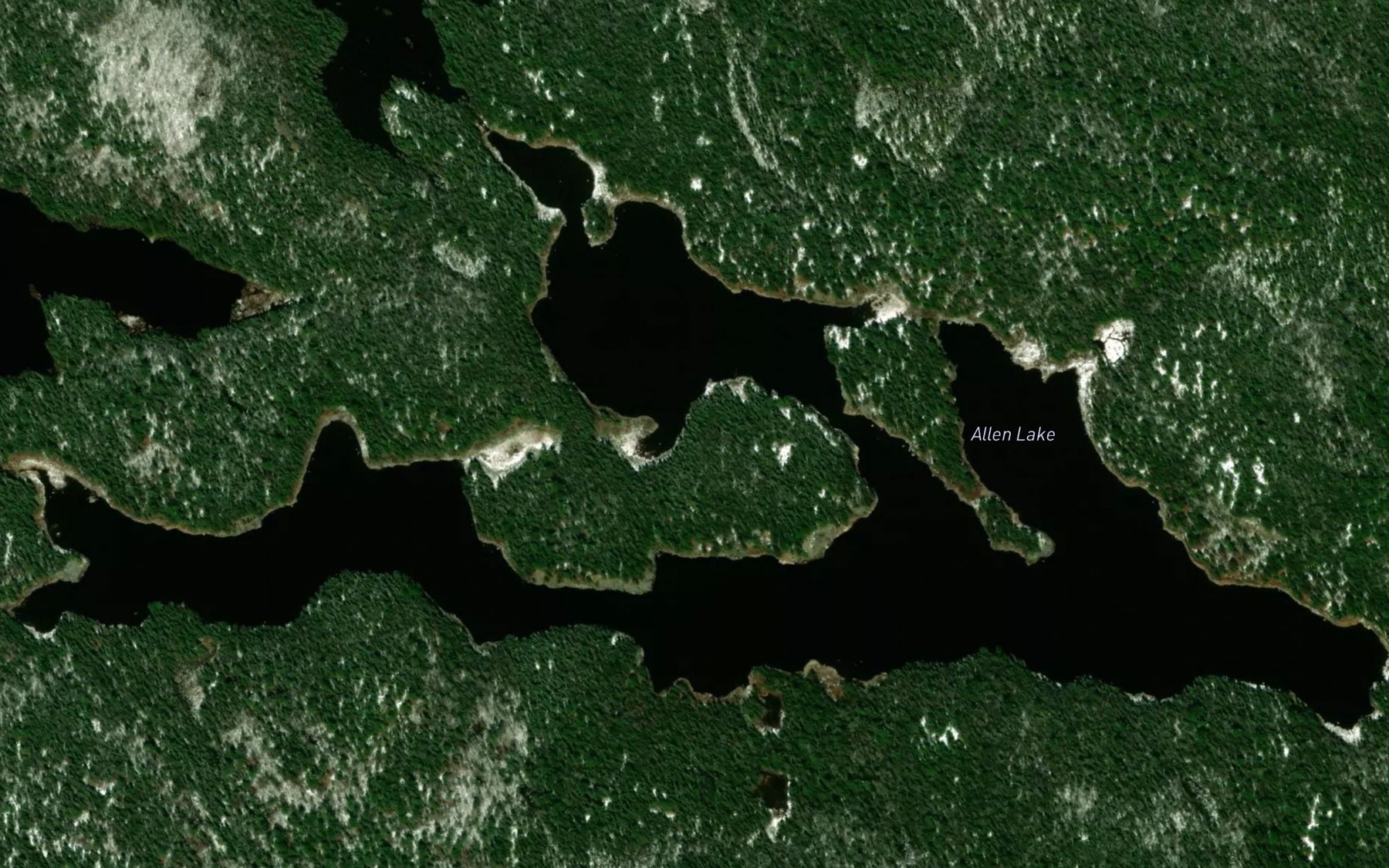 Satellite map of the Allen Lake