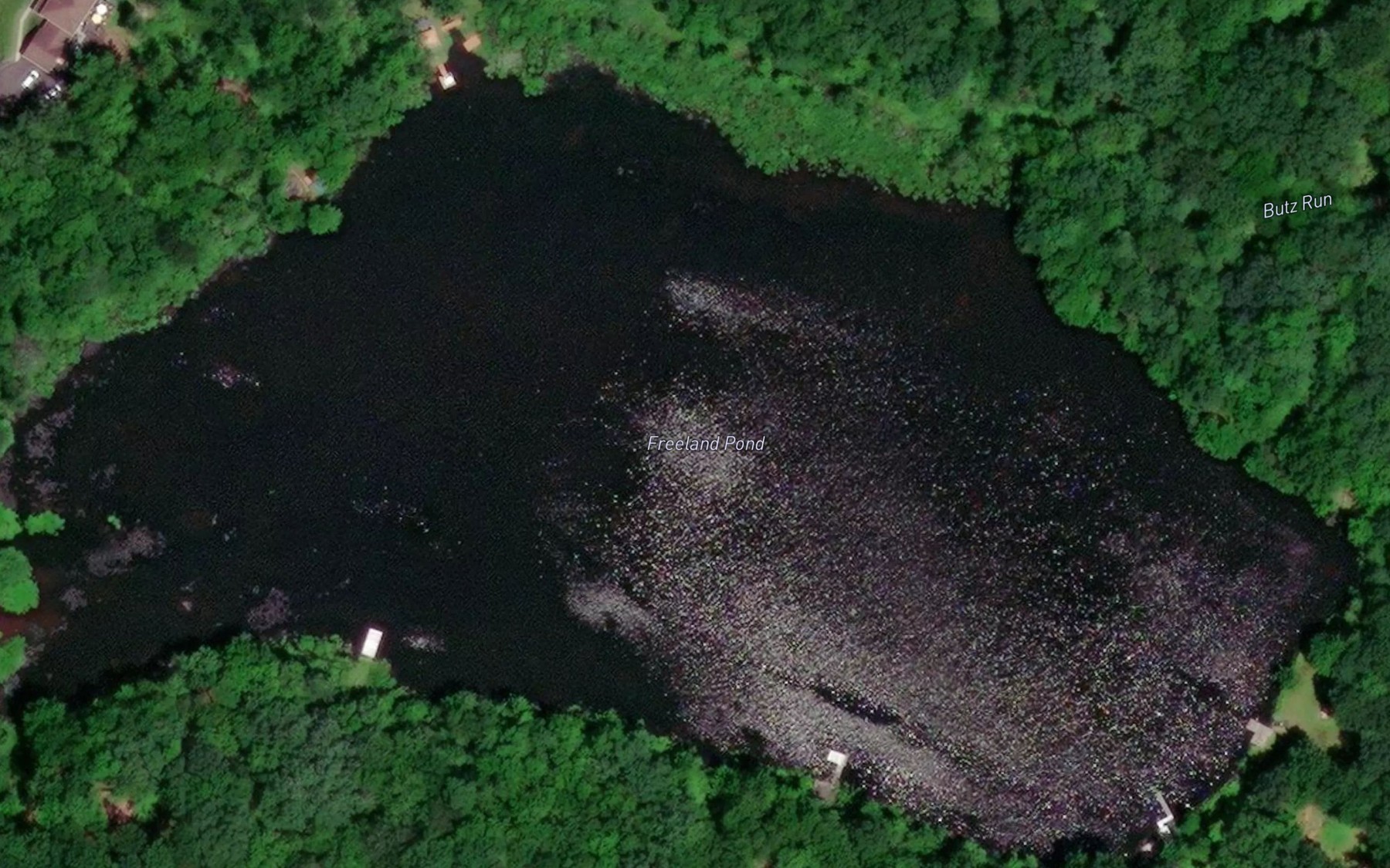 Satellite map of the Freeland Pond