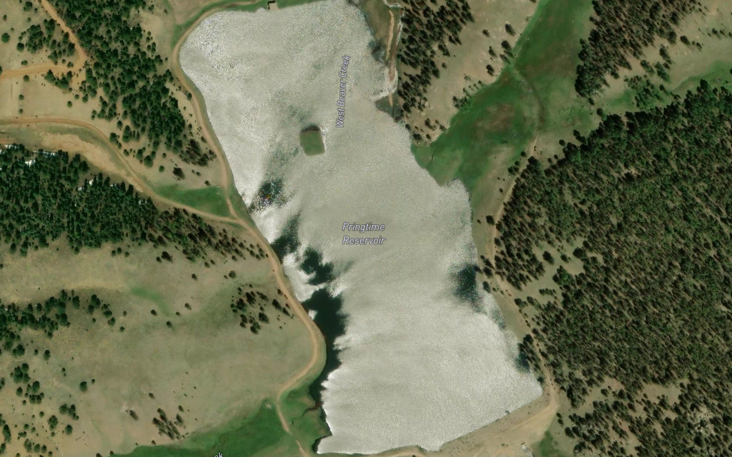 Pringtime Reservoir