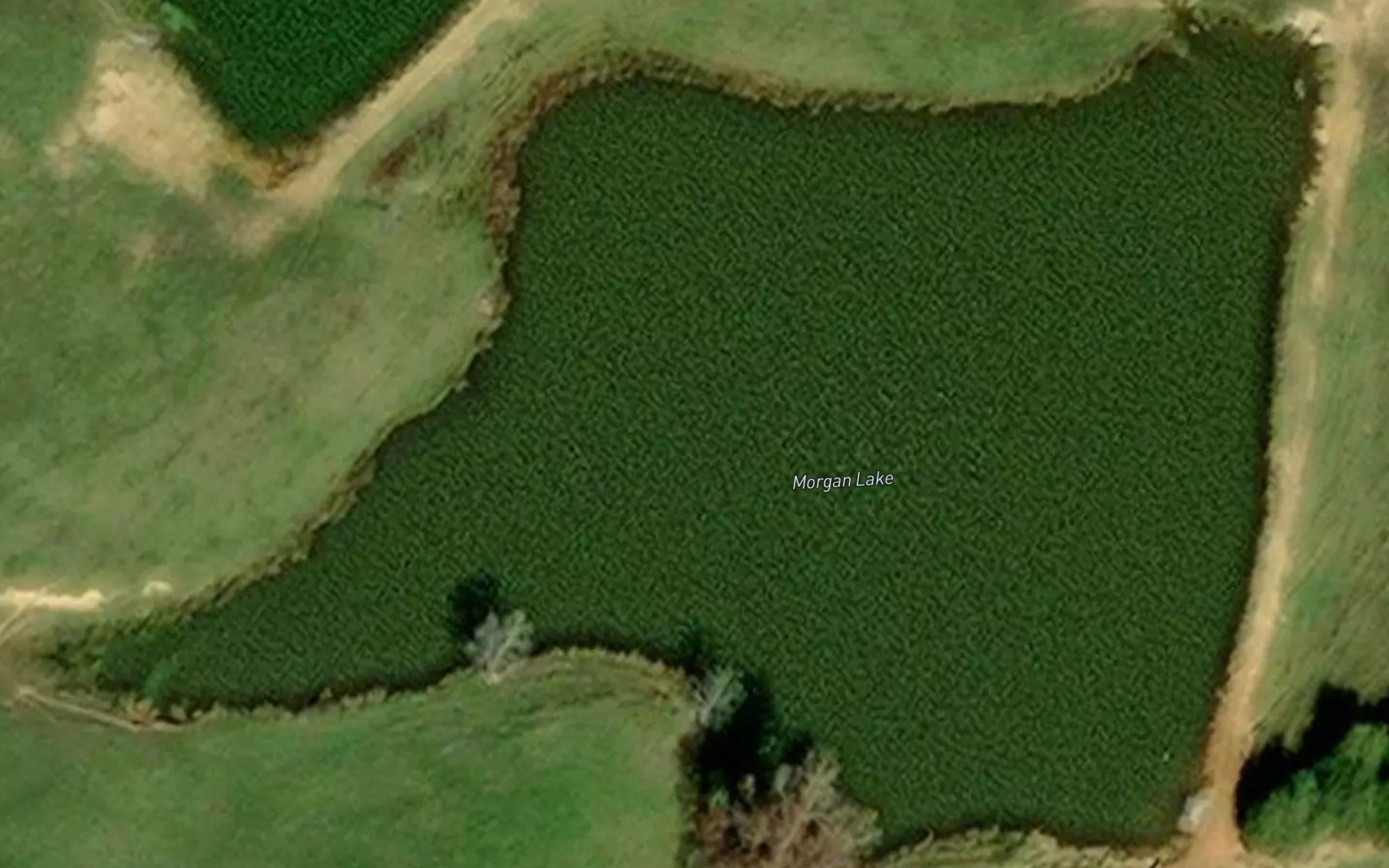 Morgan Lake