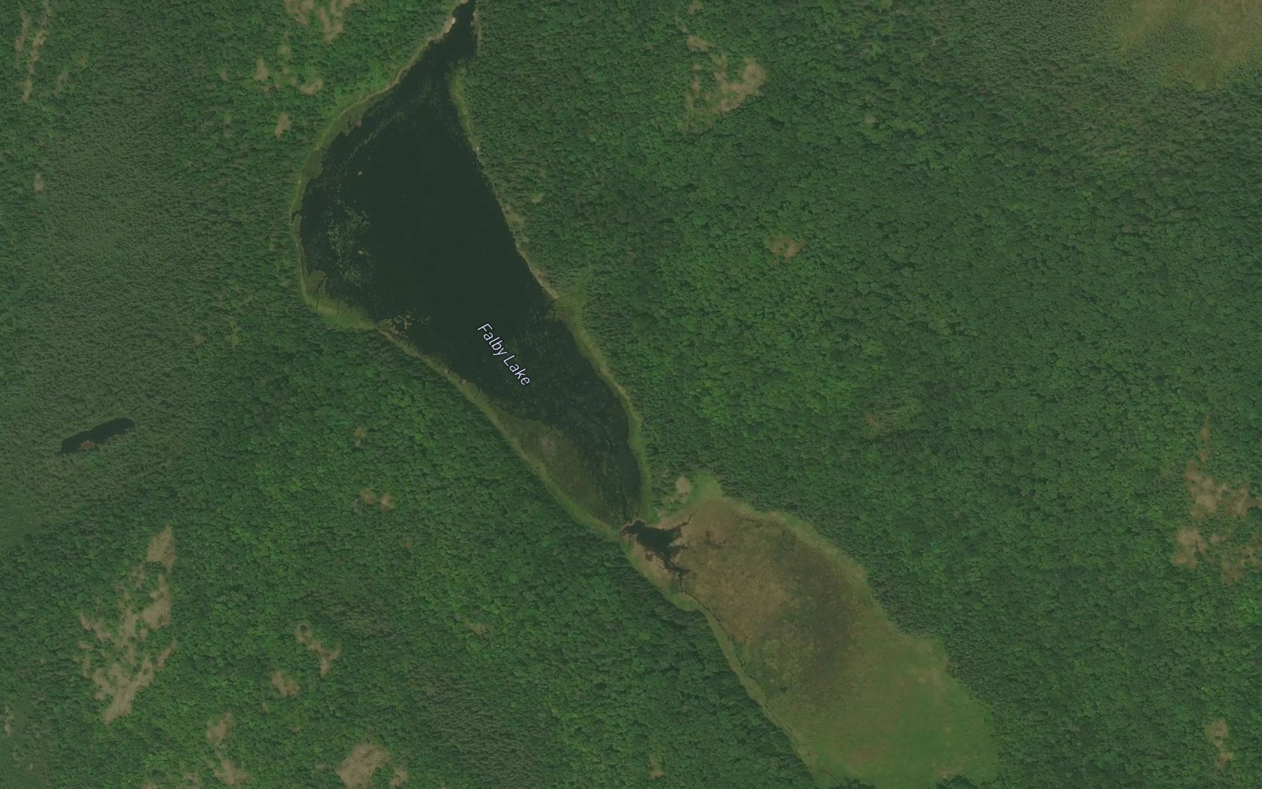 Satellite map of the Falby Lake