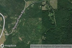 Billy Creek