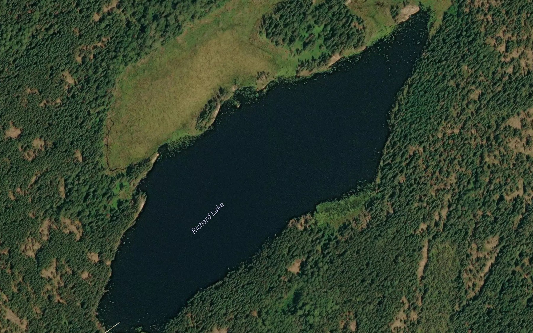 Satellite map of the Richard Lake