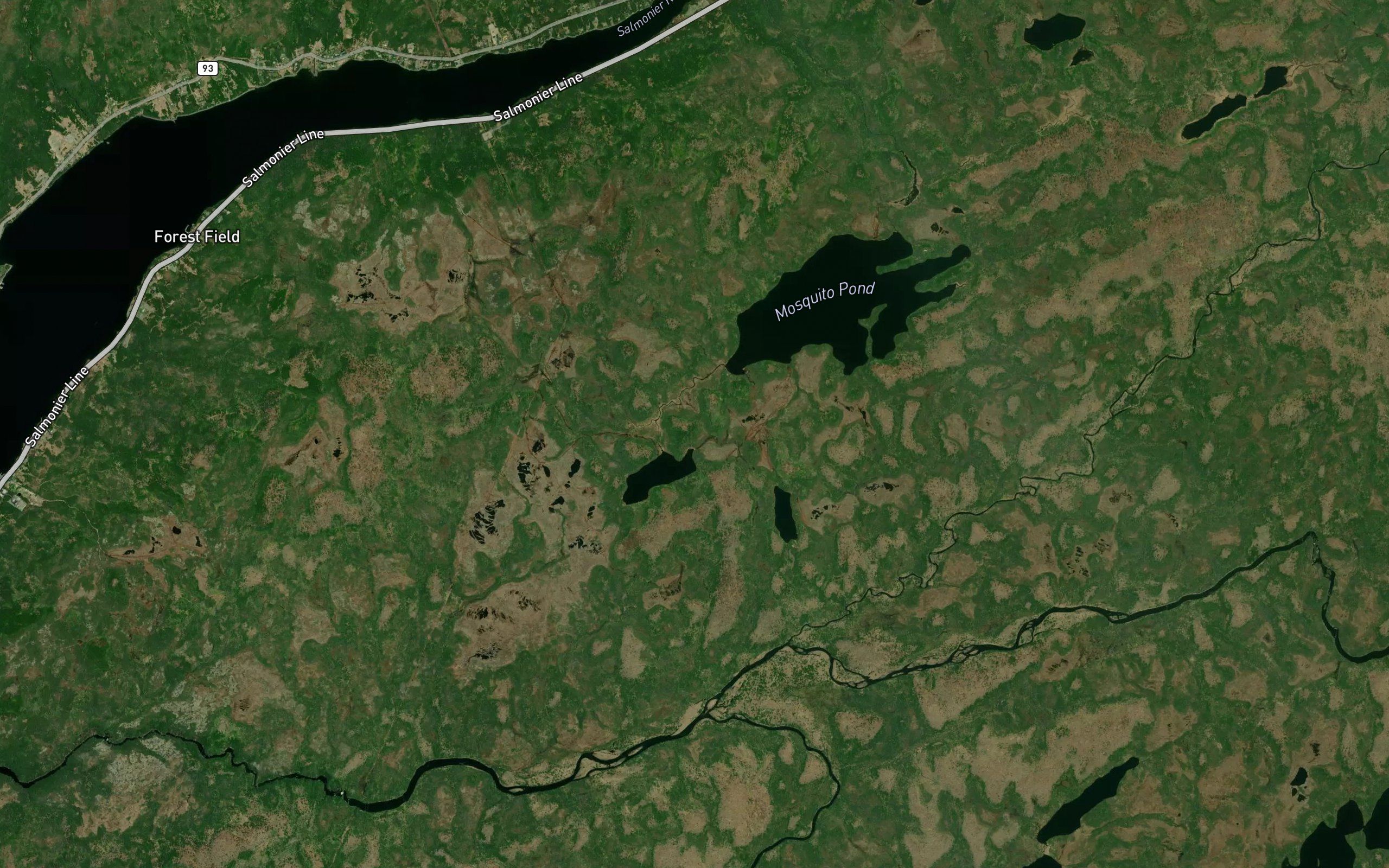 King Pond