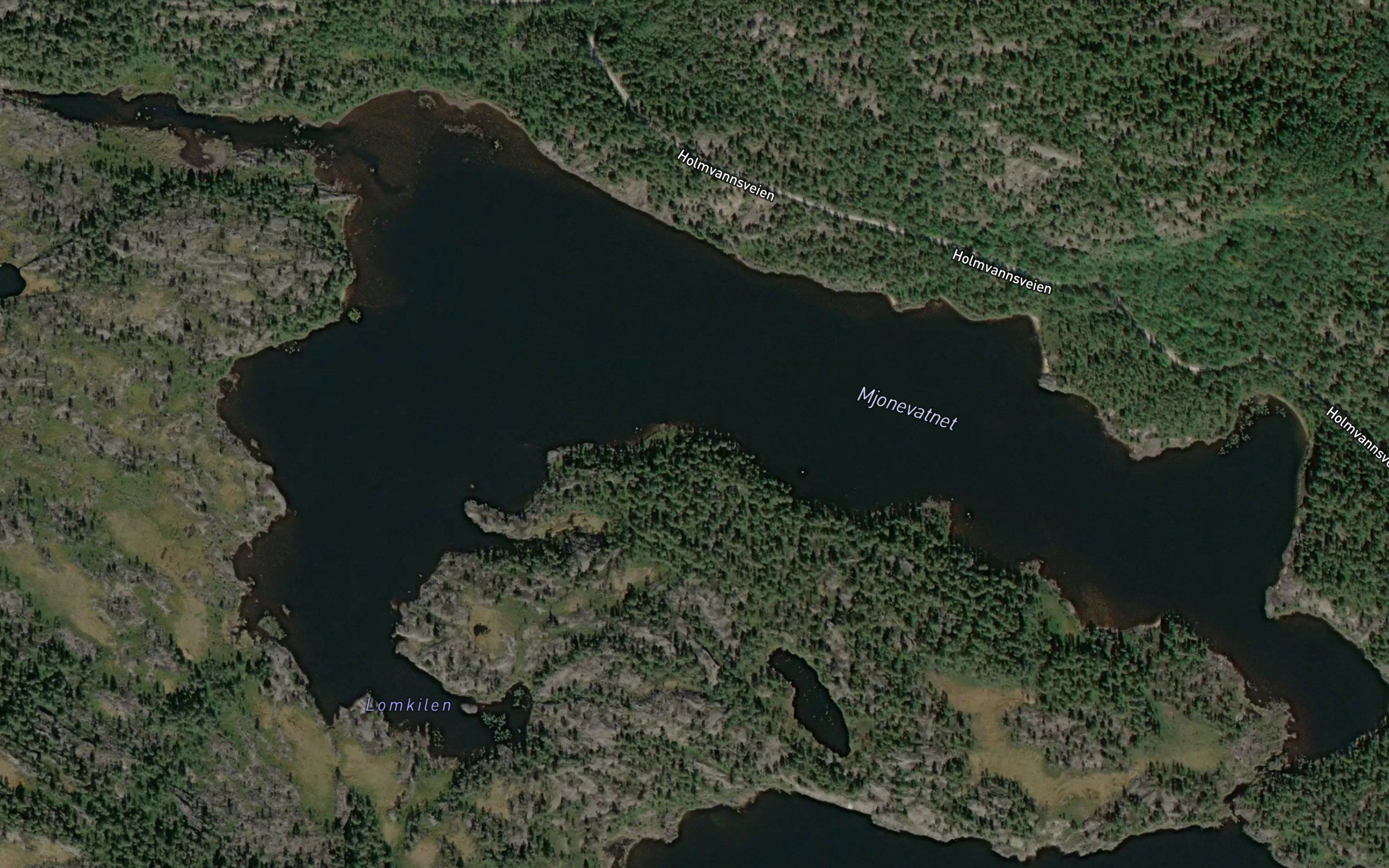 Mjonevatnet