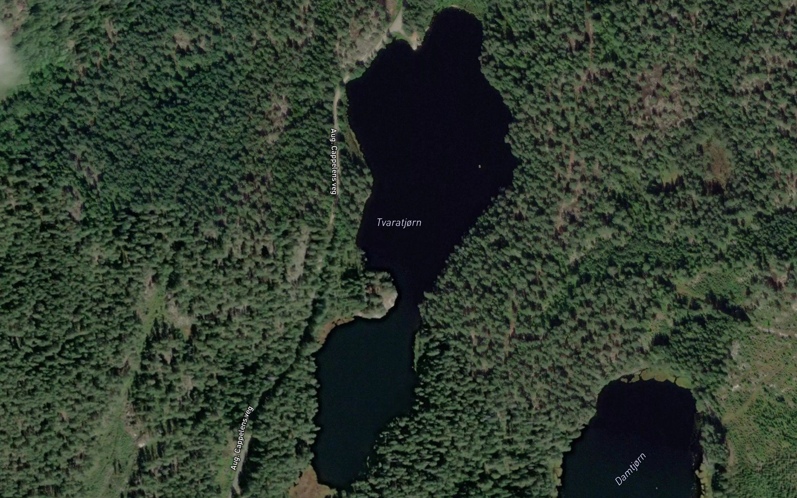 Tvaratjorn