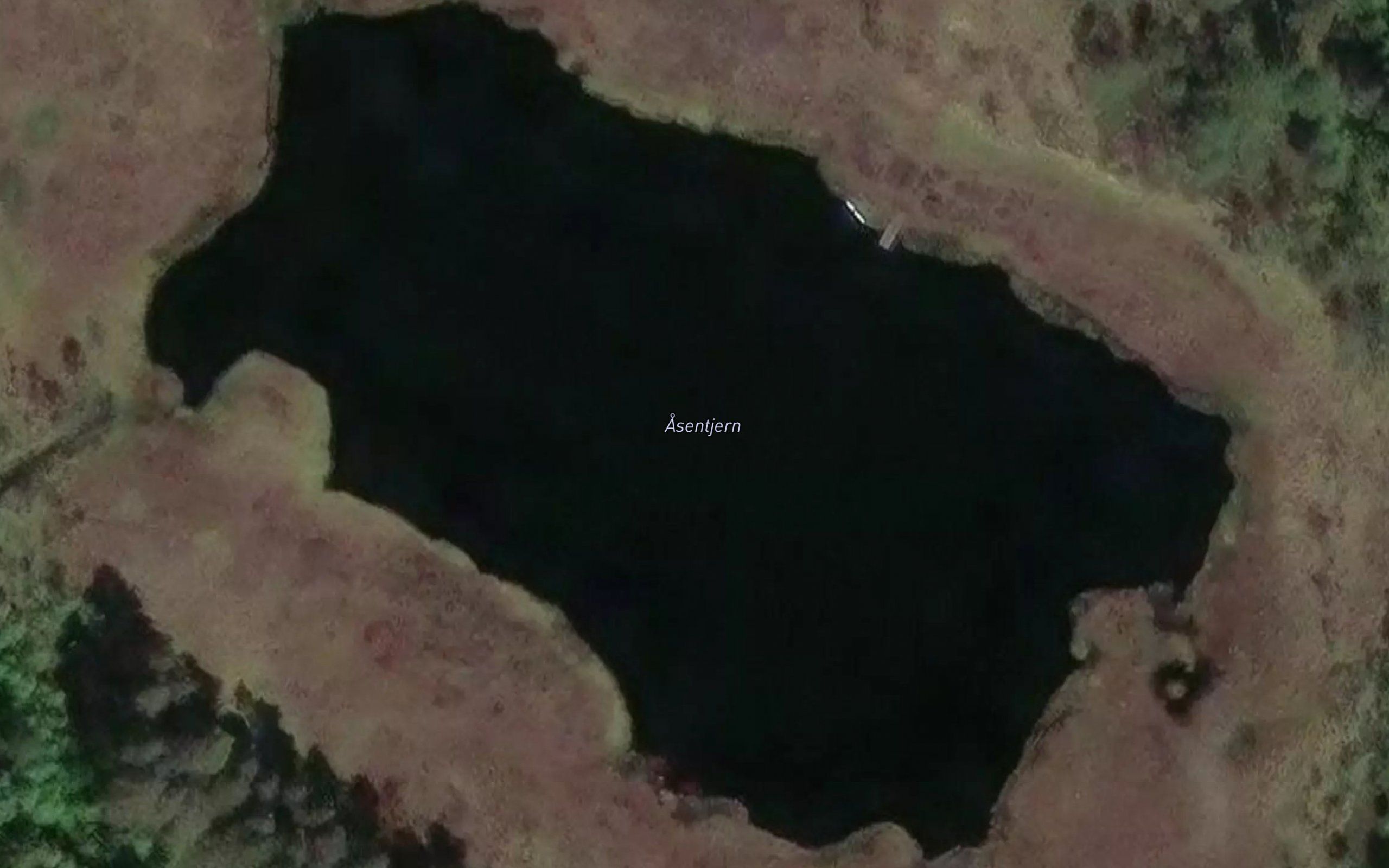 Asentjern