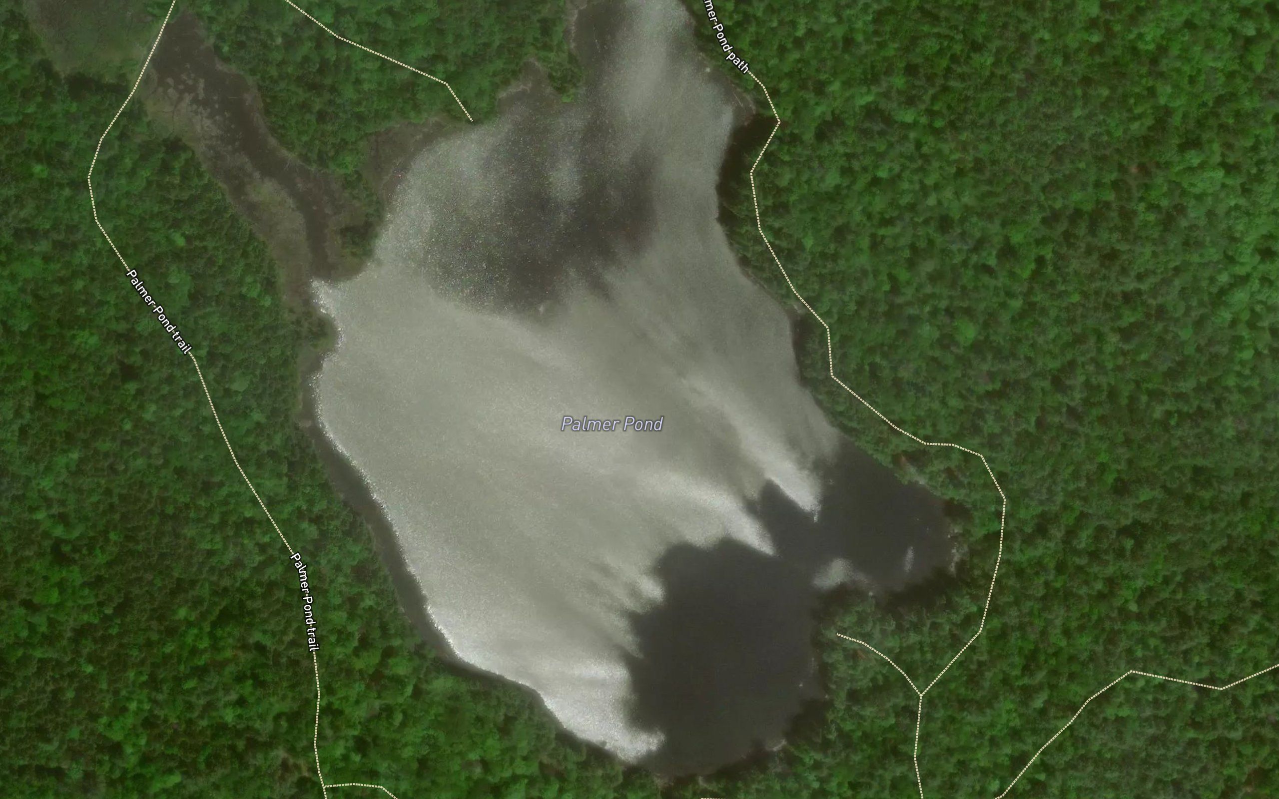 Palmer Pond
