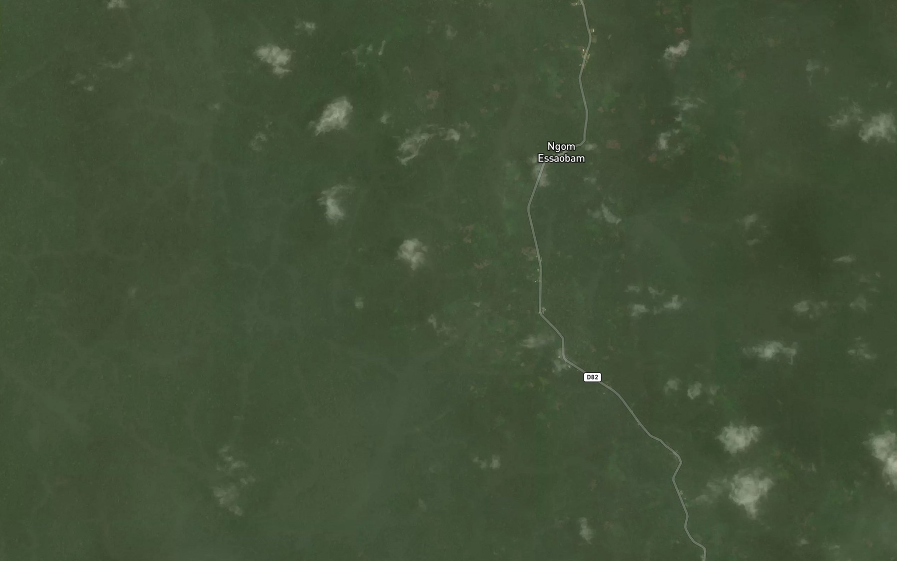 Satellite map of the Mvele