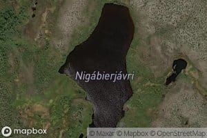 Nigabierjavri