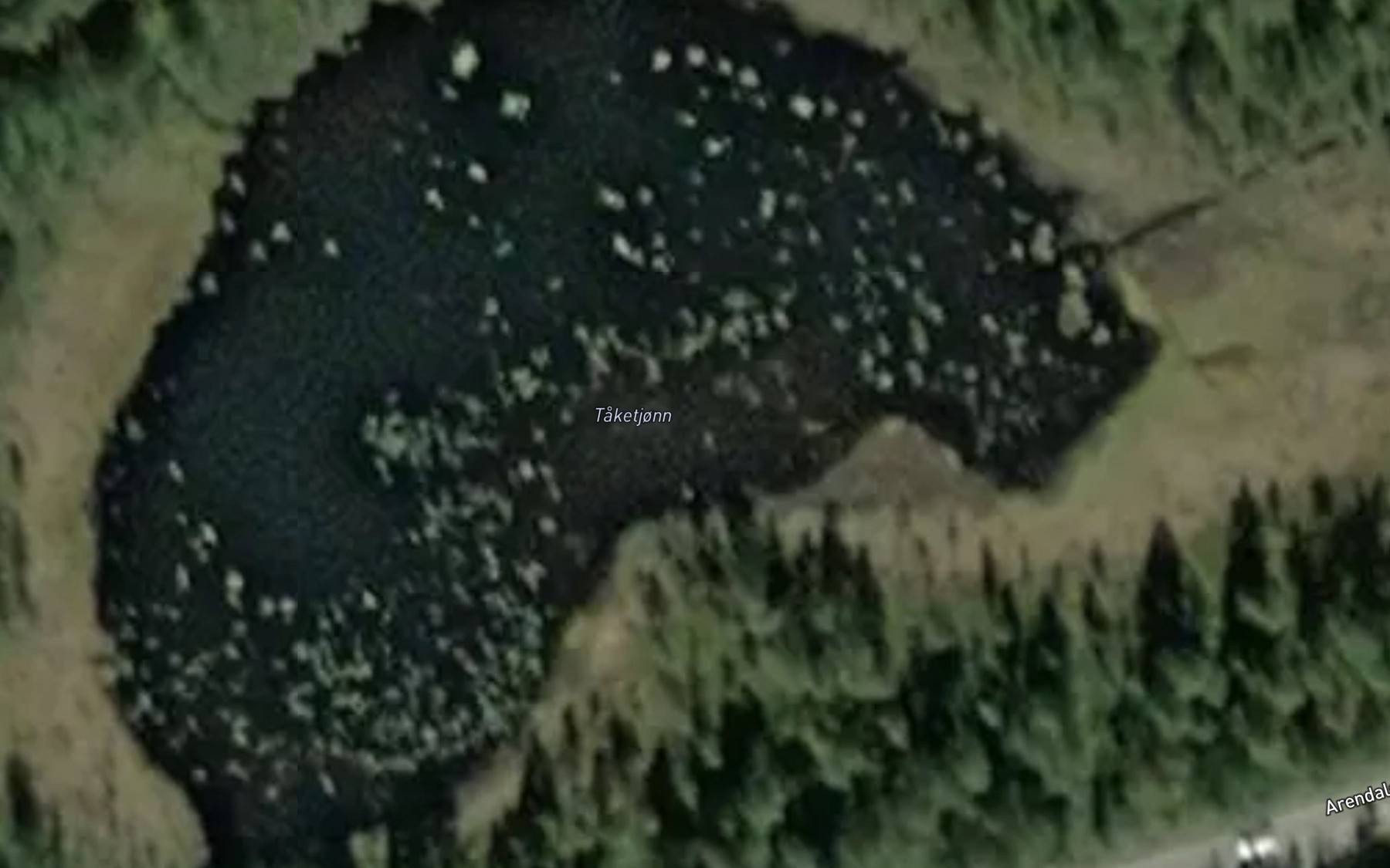 Satellite map of the Taketjonn