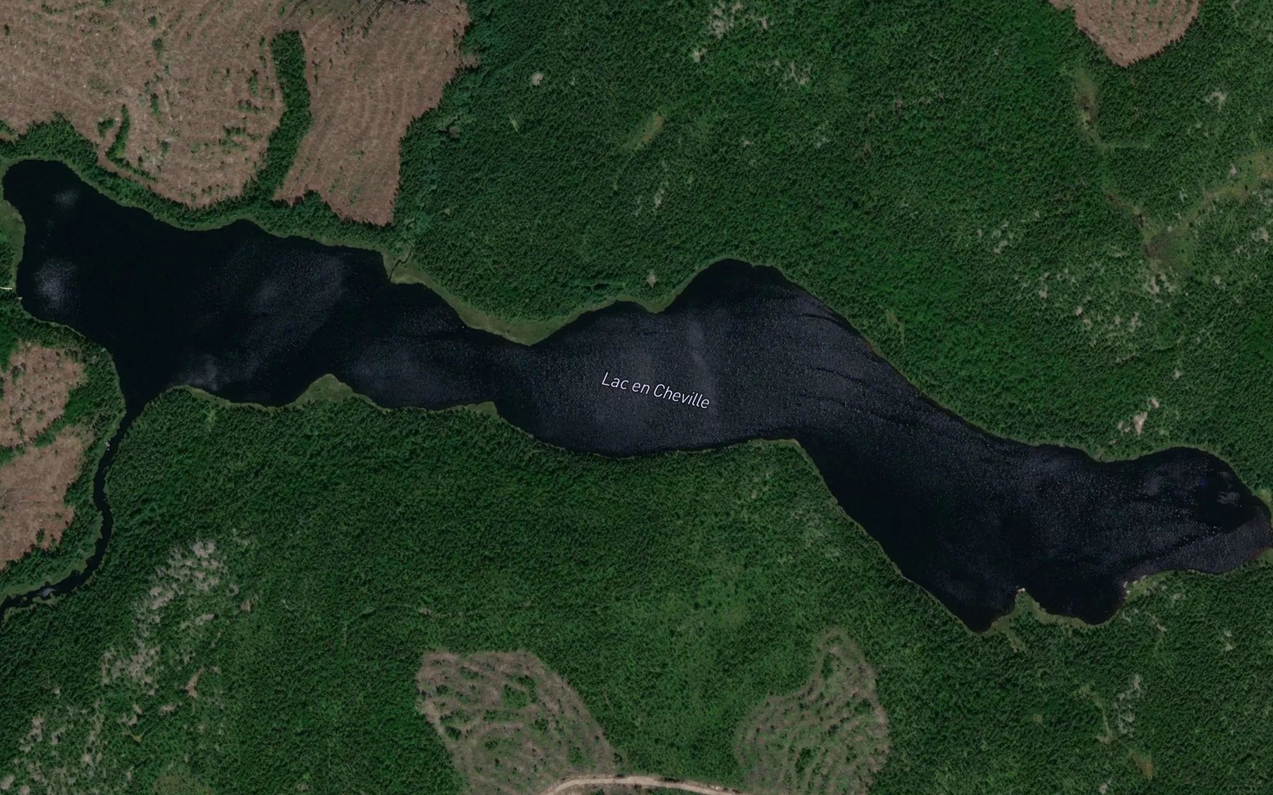 Satellite map of the Lac en Cheville