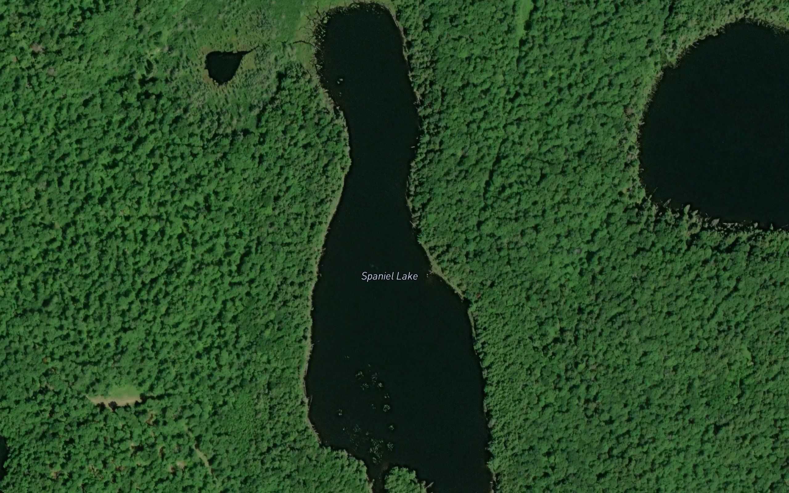 Spaniel Lake