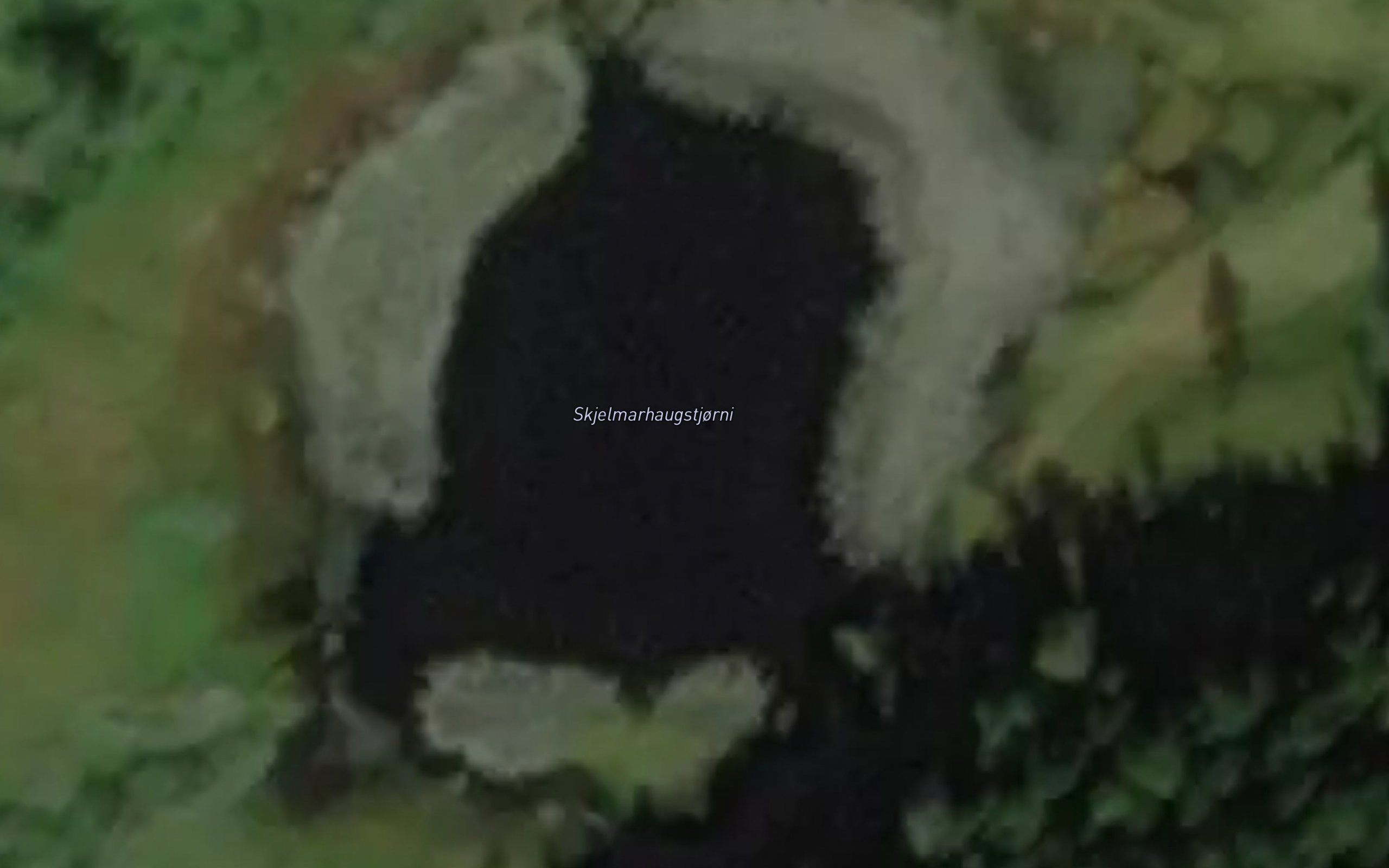 Skjelmhaugtjorni
