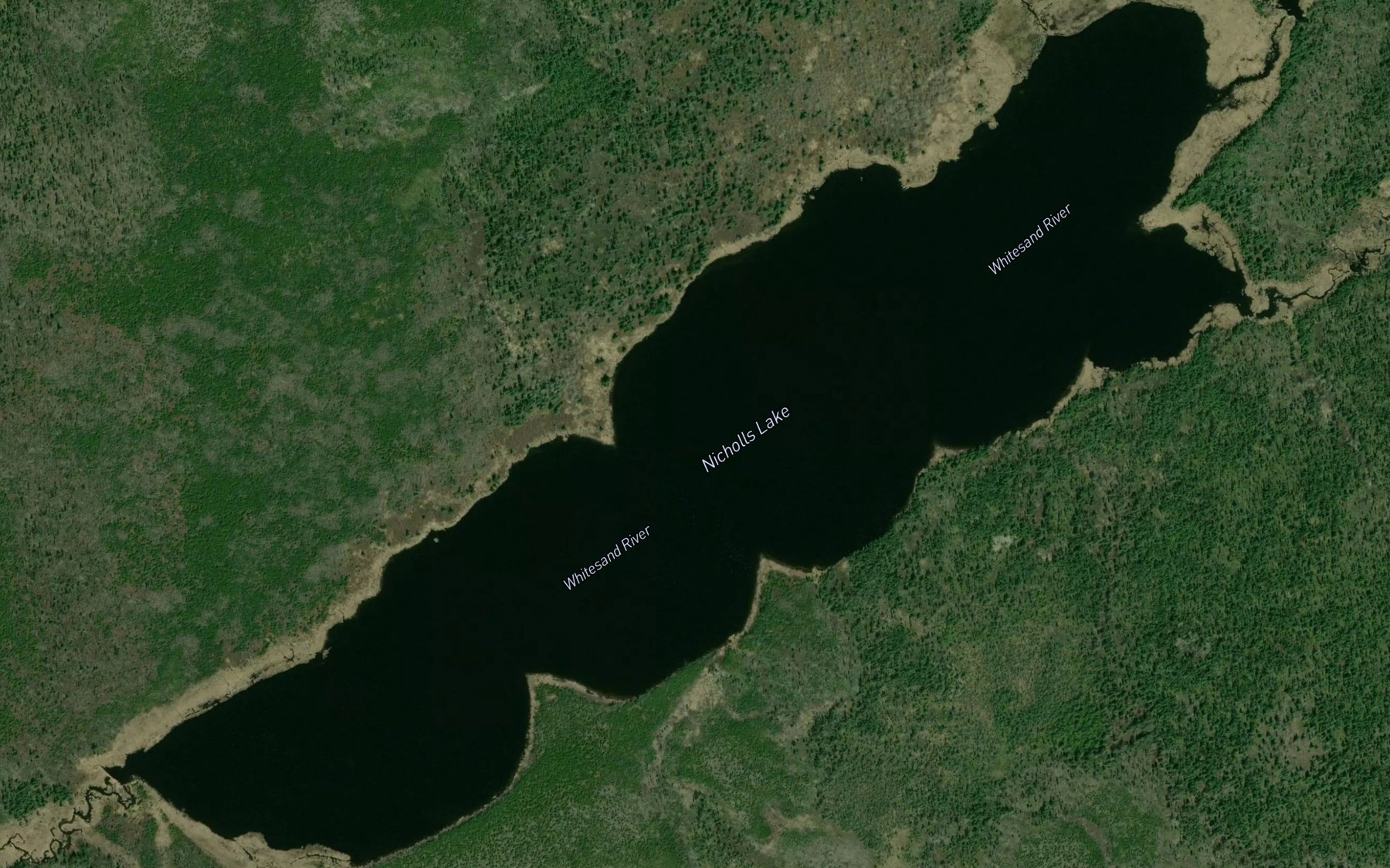 Satellite map of the Nicholls Lake