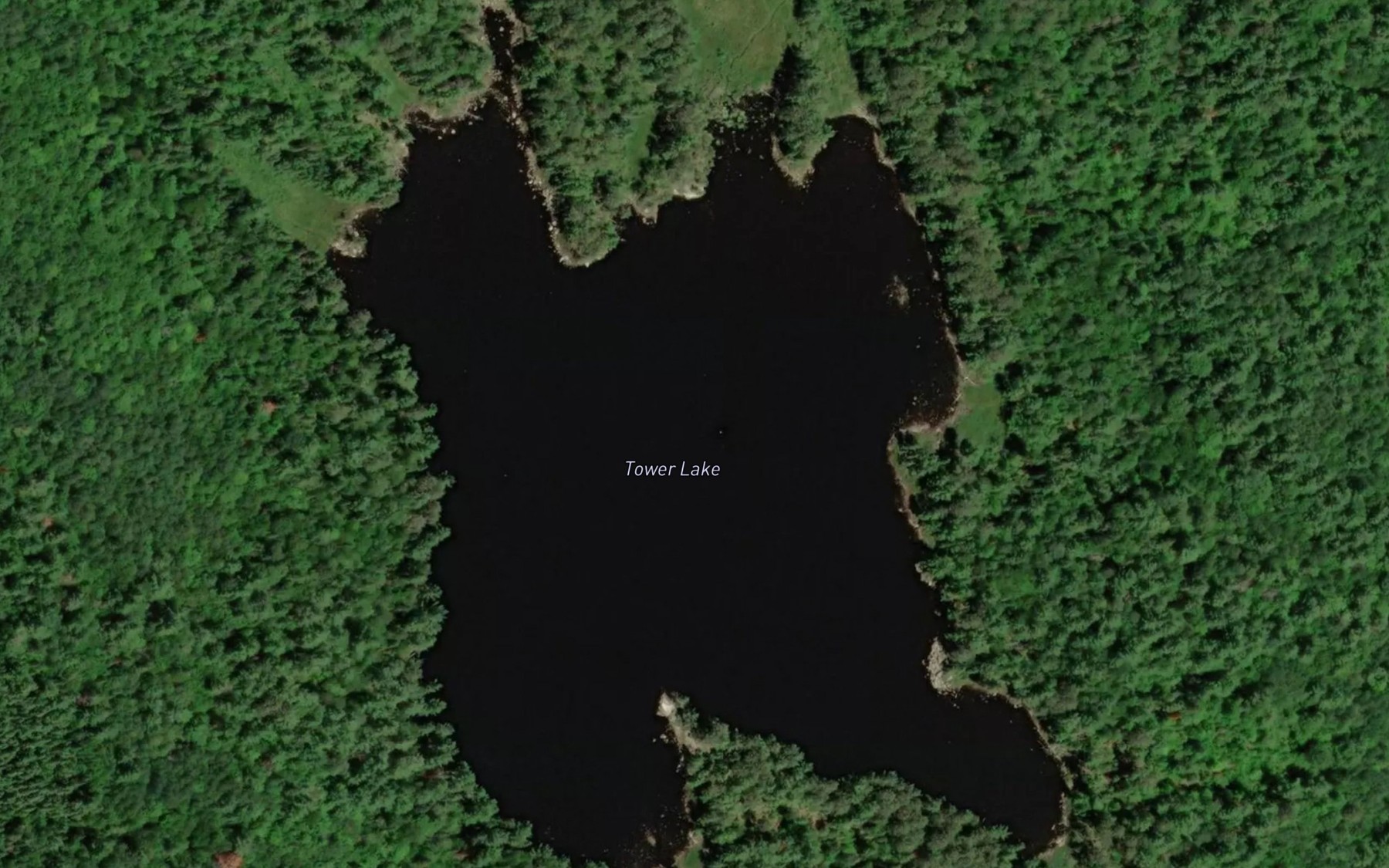 Satellite map of the Tower Lake