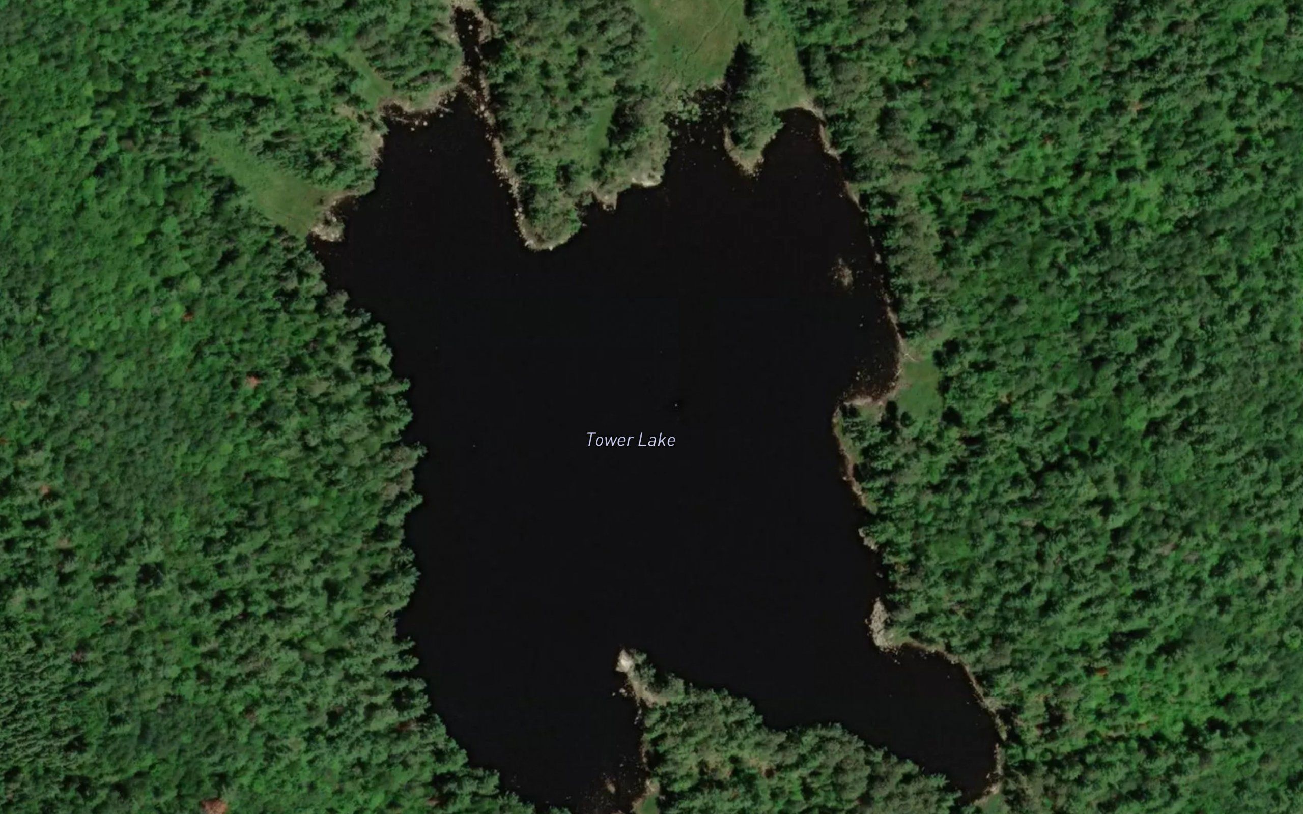 Tower Lake