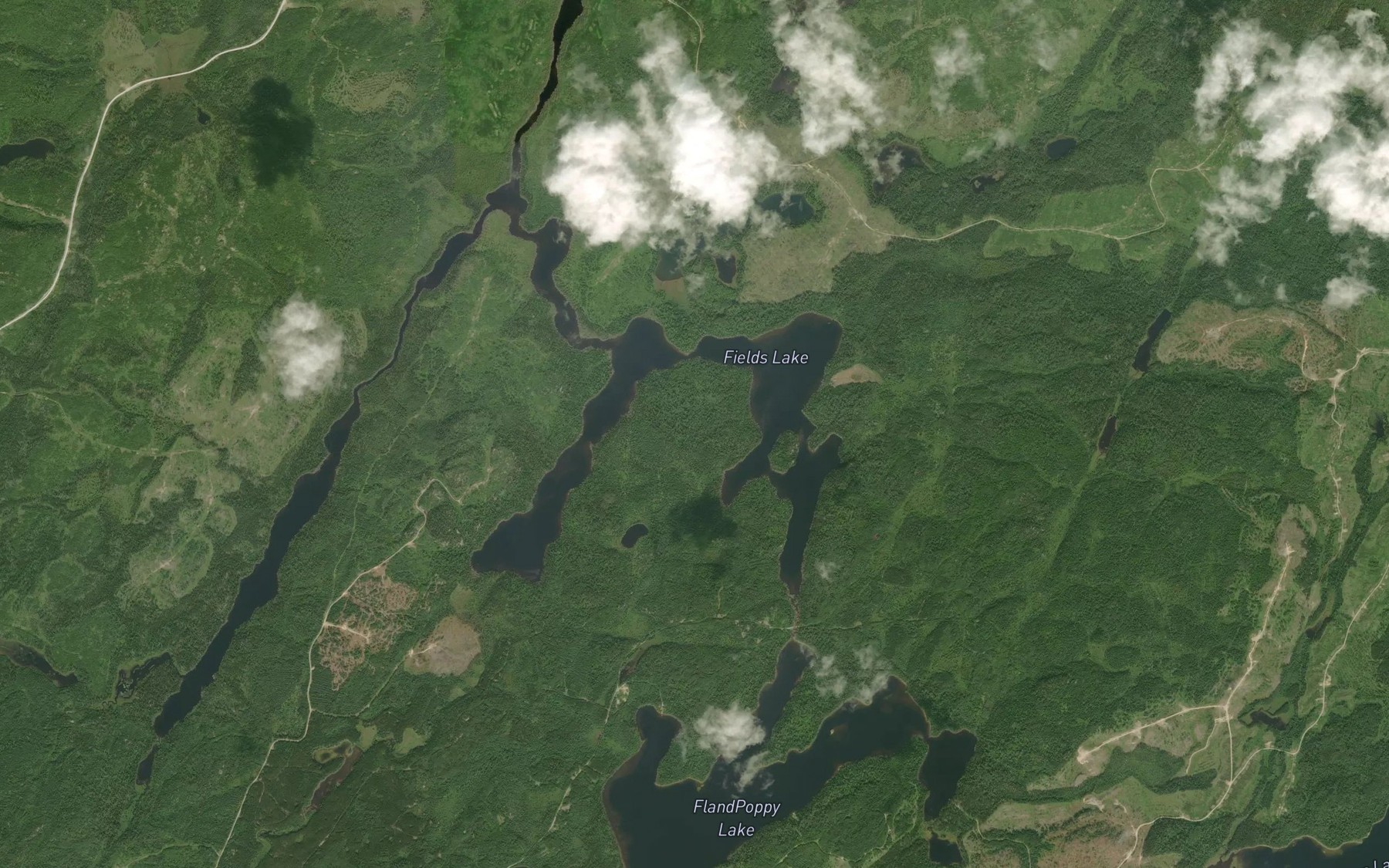 Satellite map of the Fields Lake