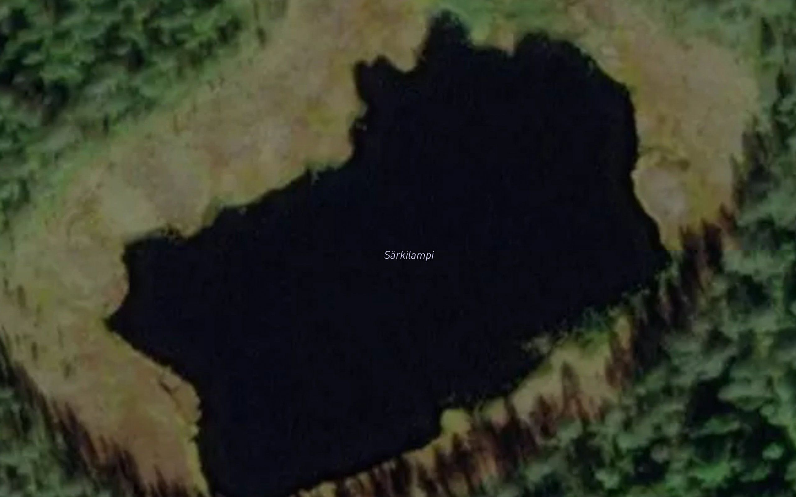 Sarkilampi