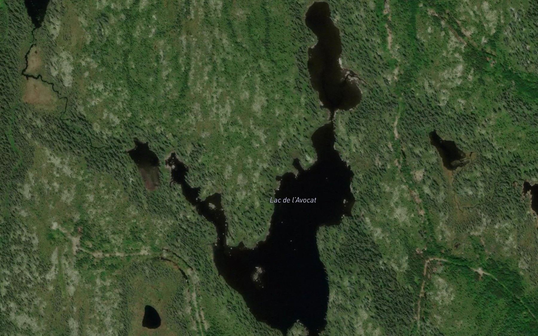 Satellite map of the Lac de l'Avocat