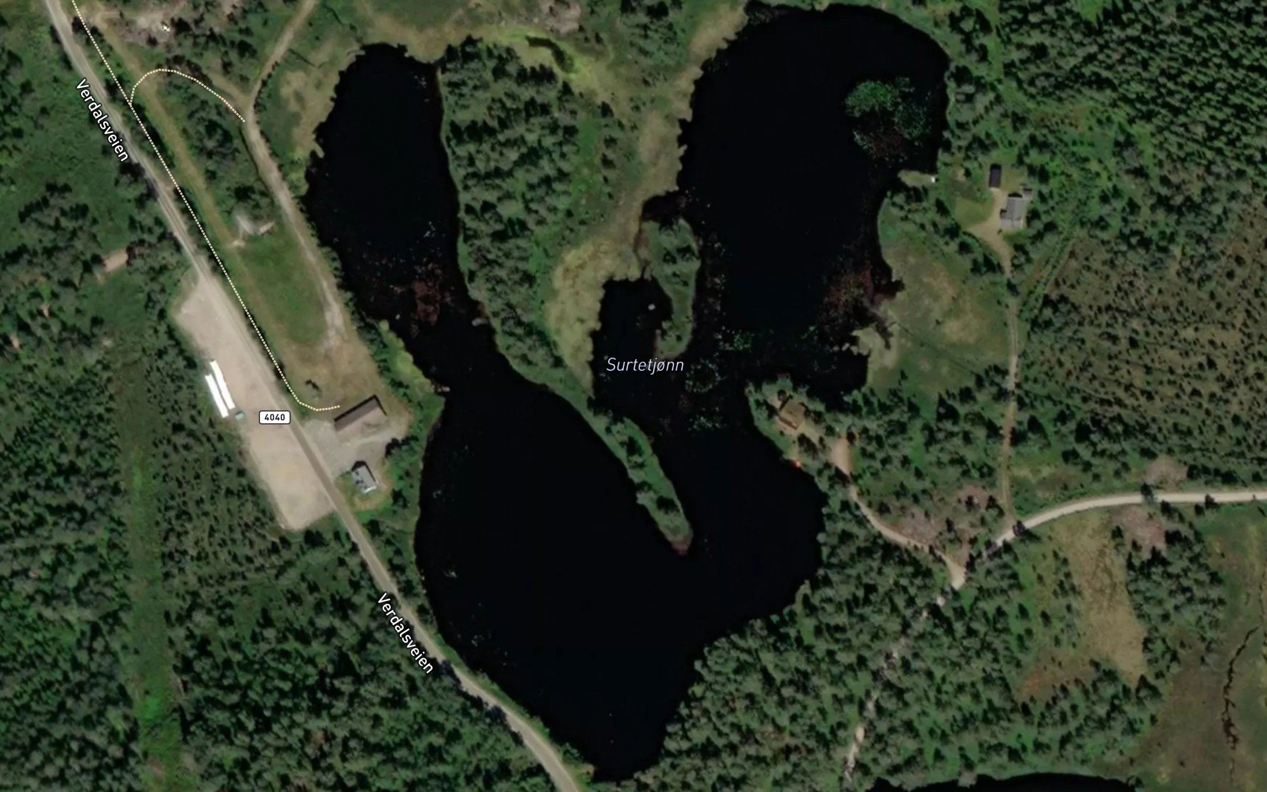 Surtetjorn
